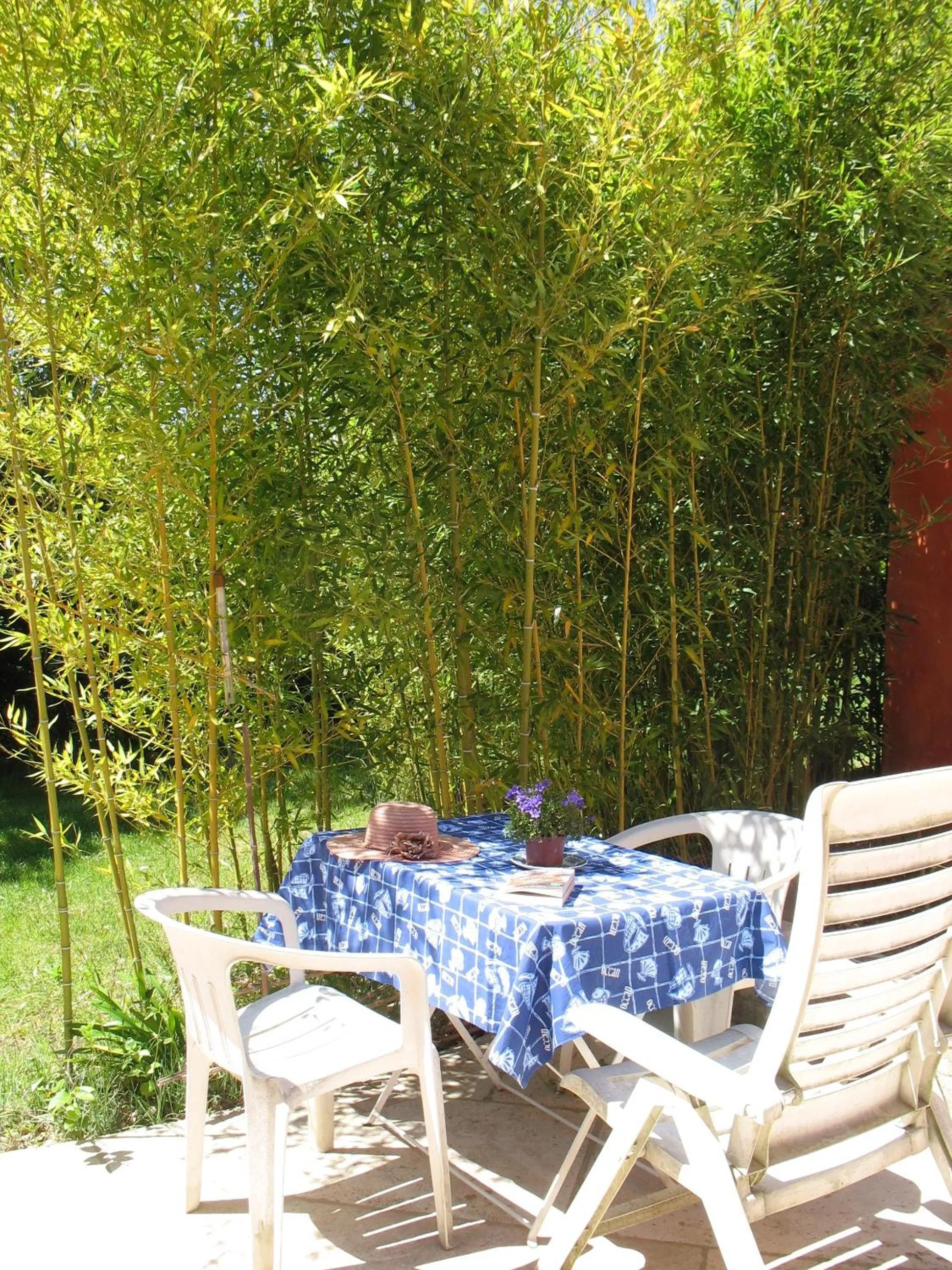 Property building in B&B La Cigaline