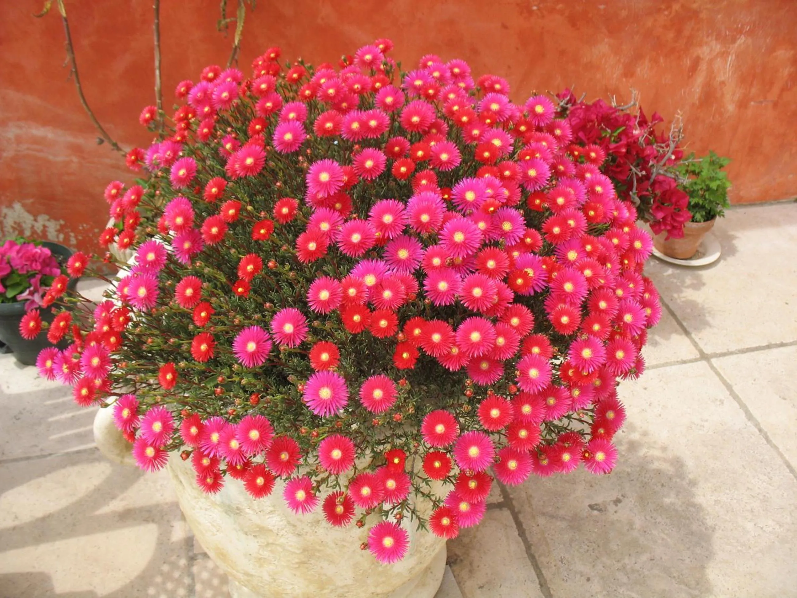 Property building in B&B La Cigaline