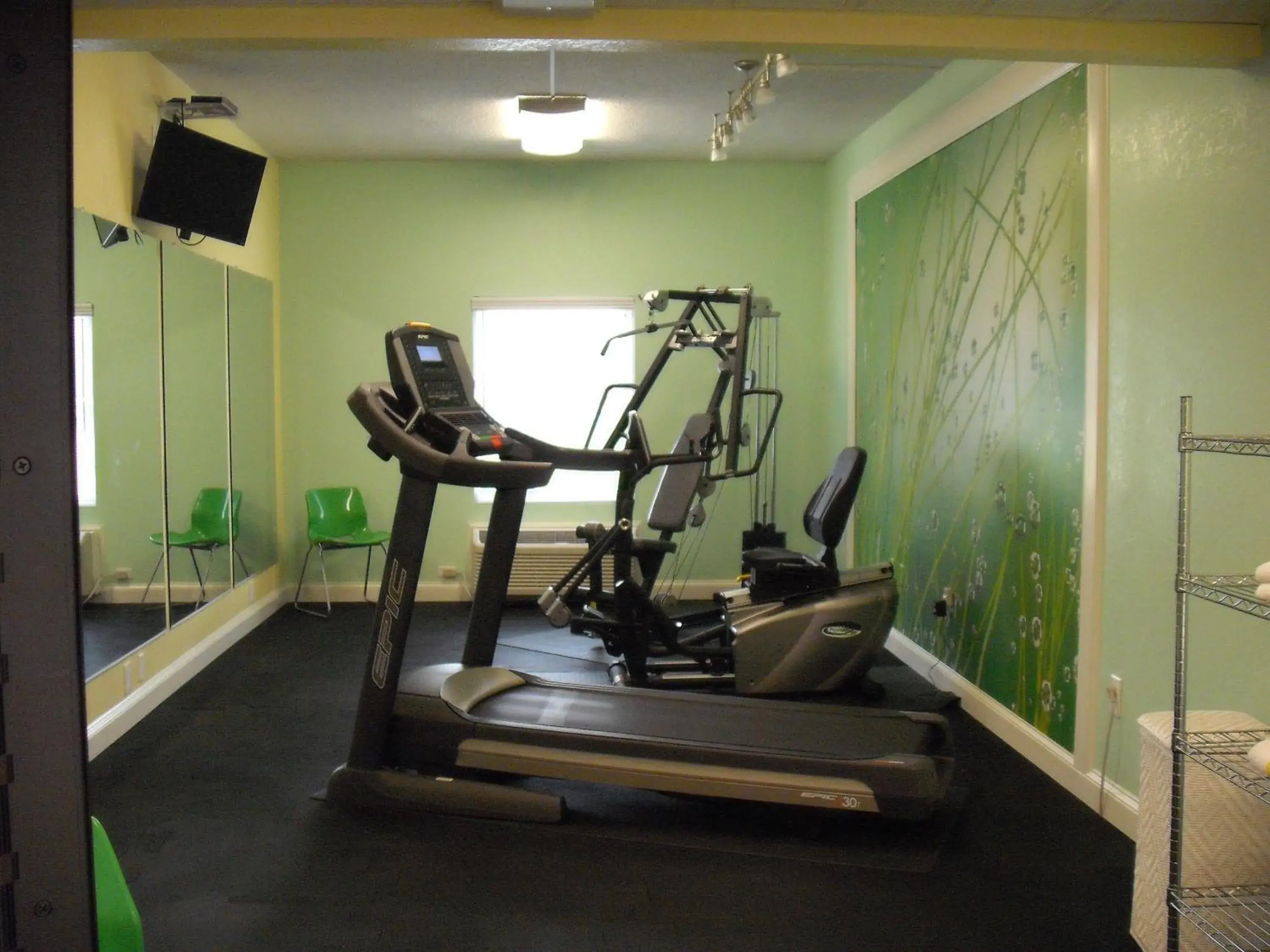 Fitness centre/facilities in Mountain Inn & Suites Fitness centre/facilities in Mountain Inn & Suites