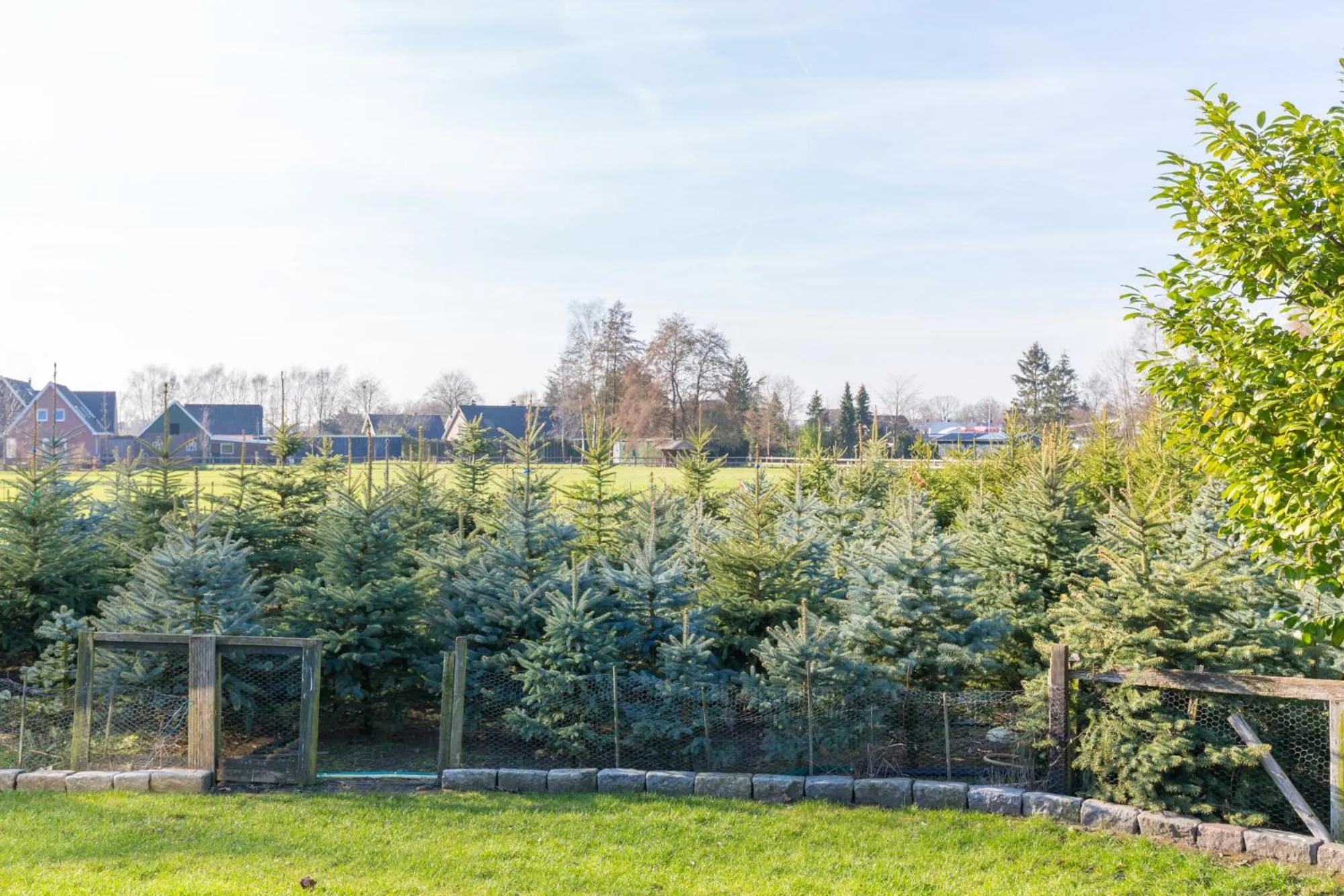 Bed & Breakfast Kroese