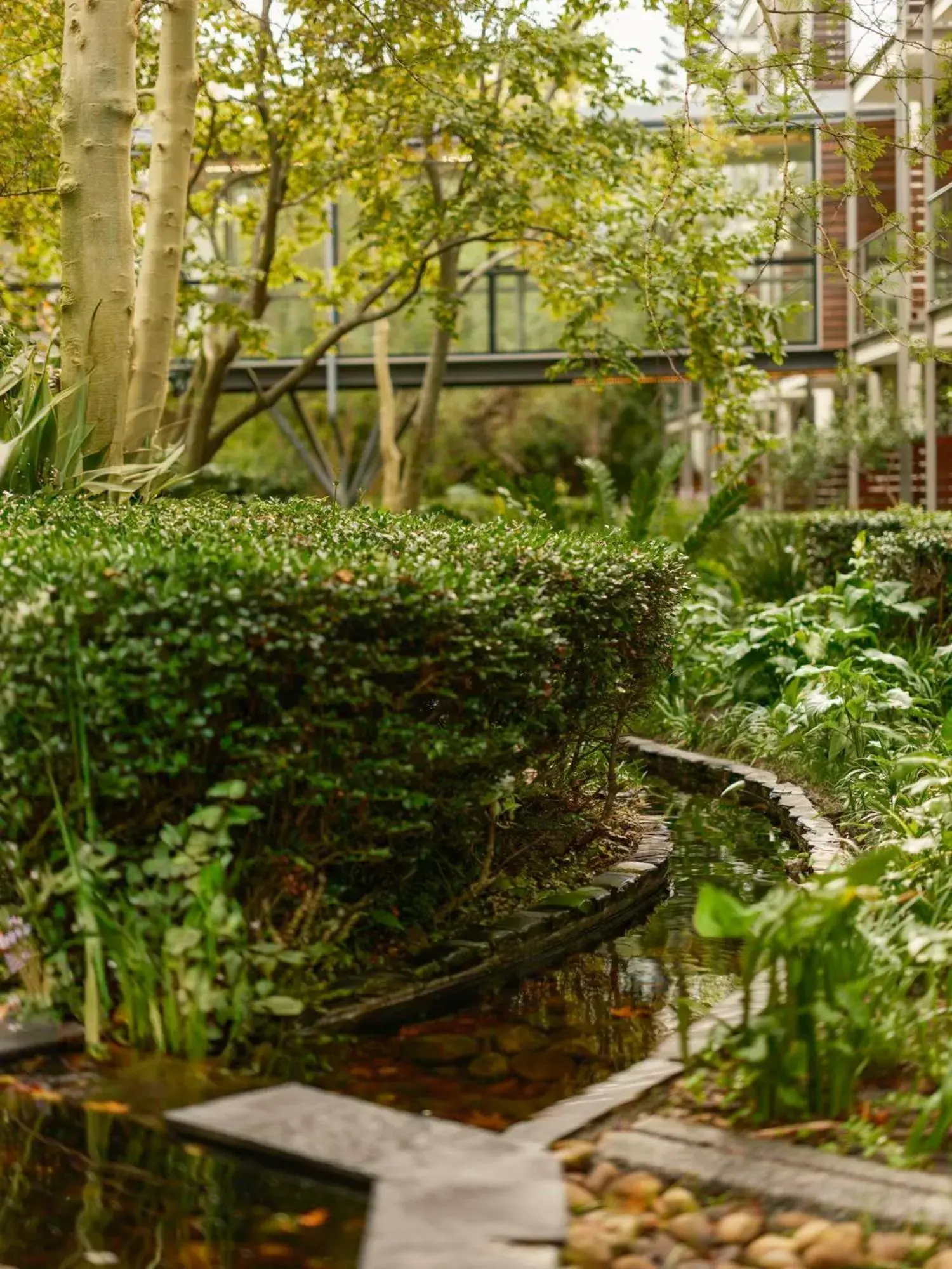 Inner courtyard view in Vineyard Hotel Inner courtyard view in Vineyard Hotel