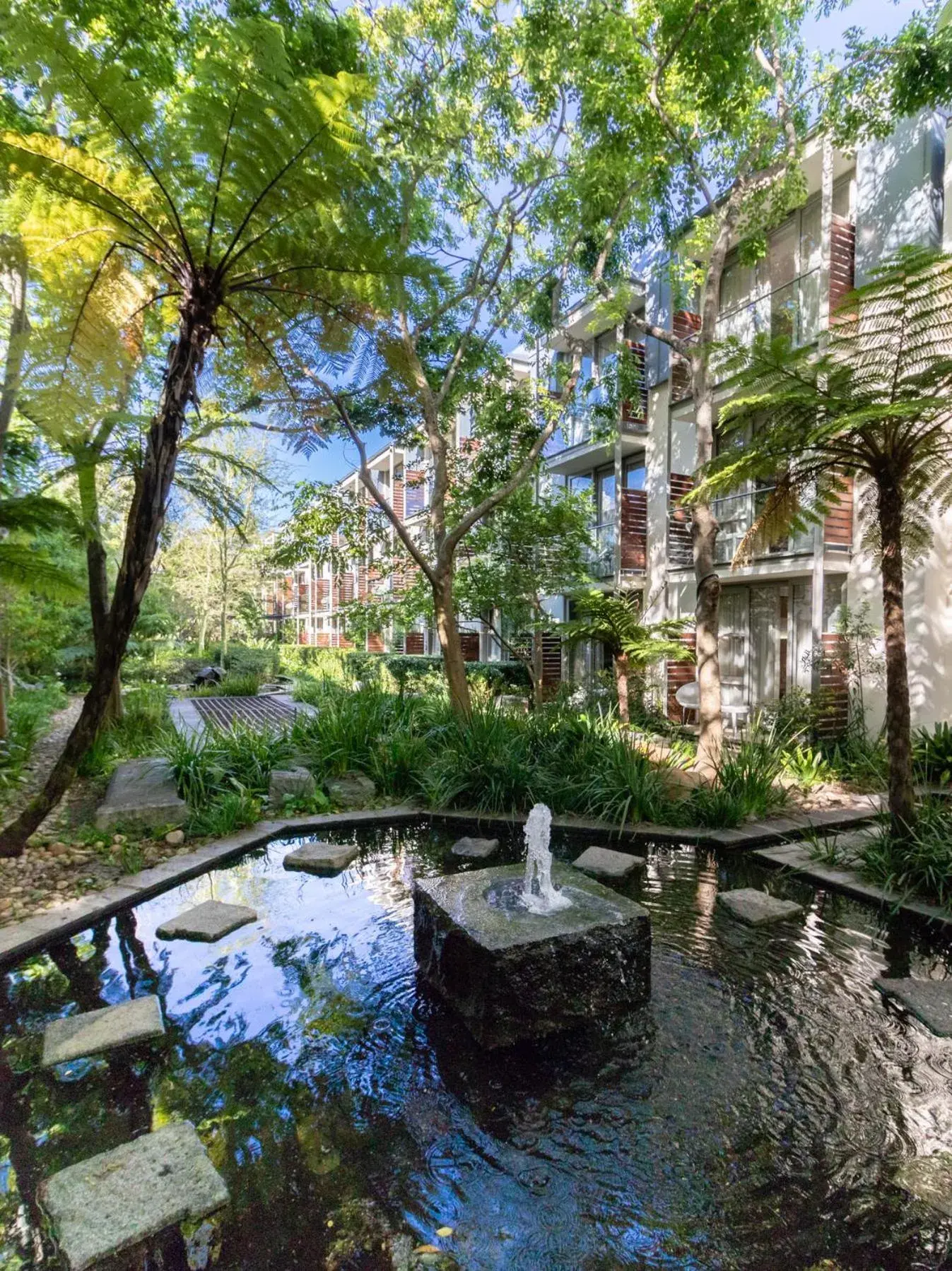 Garden view in Vineyard Hotel Garden view in Vineyard Hotel