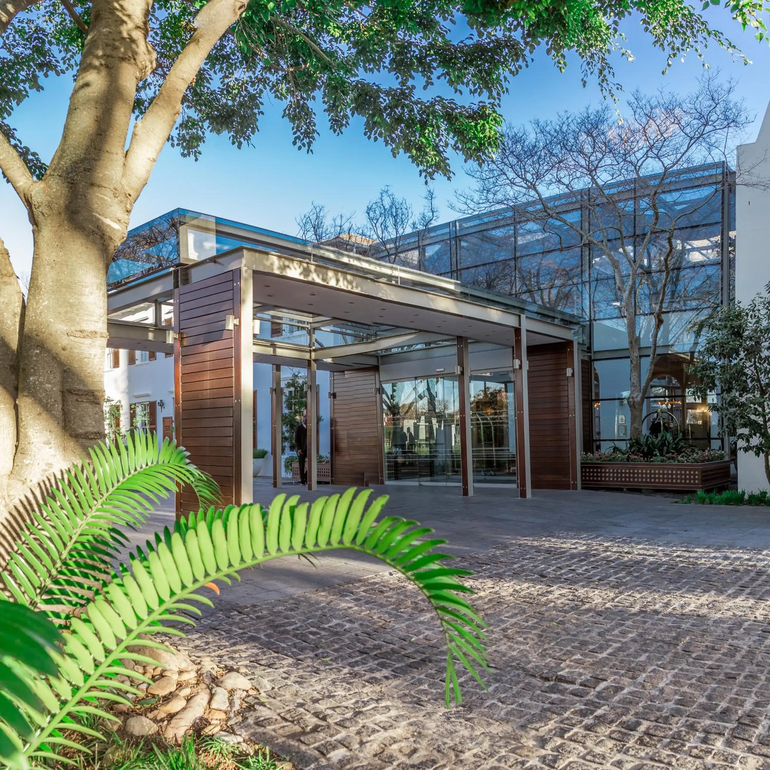 Property building in Vineyard Hotel Property building in Vineyard Hotel