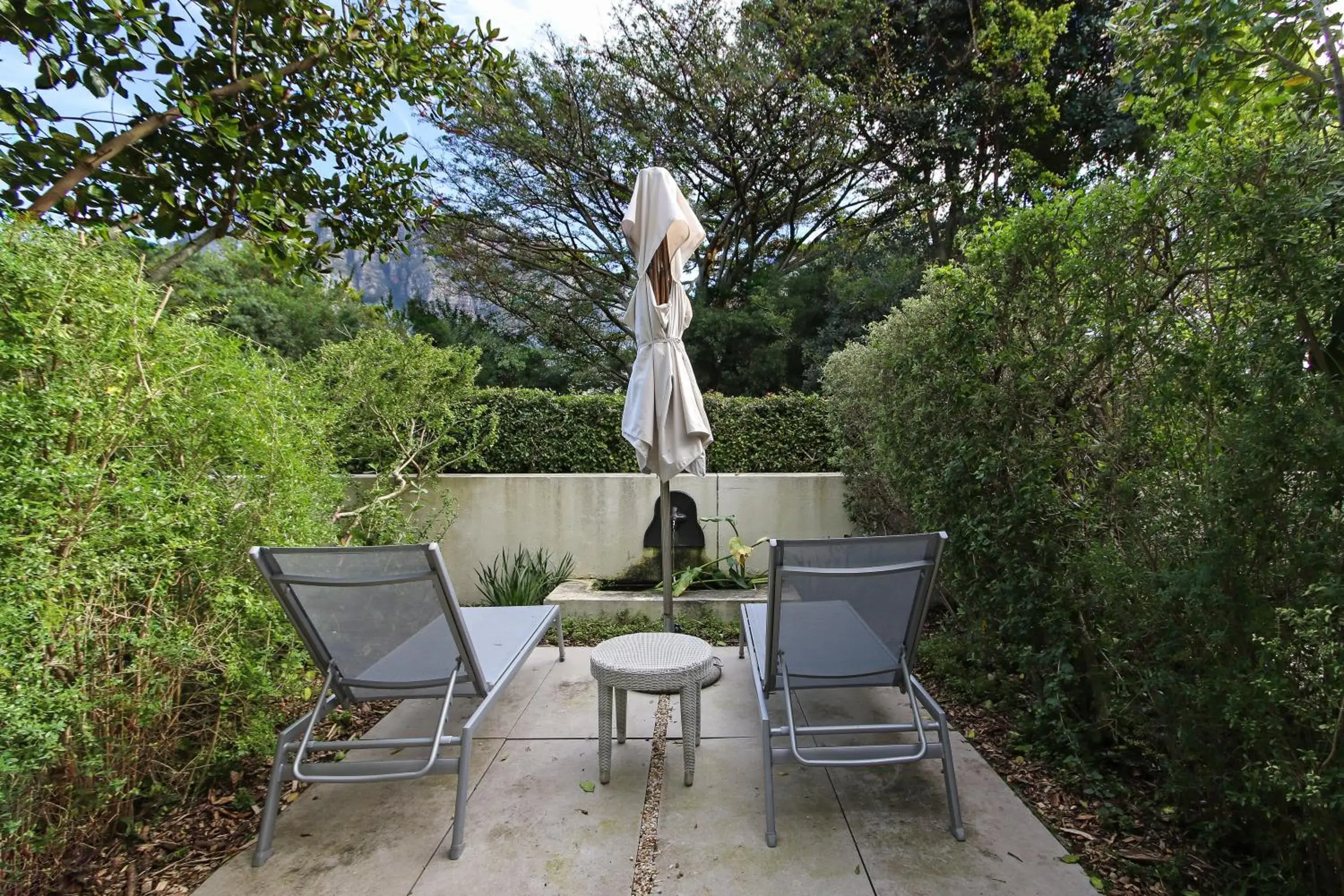 Garden view in Vineyard Hotel Garden view in Vineyard Hotel