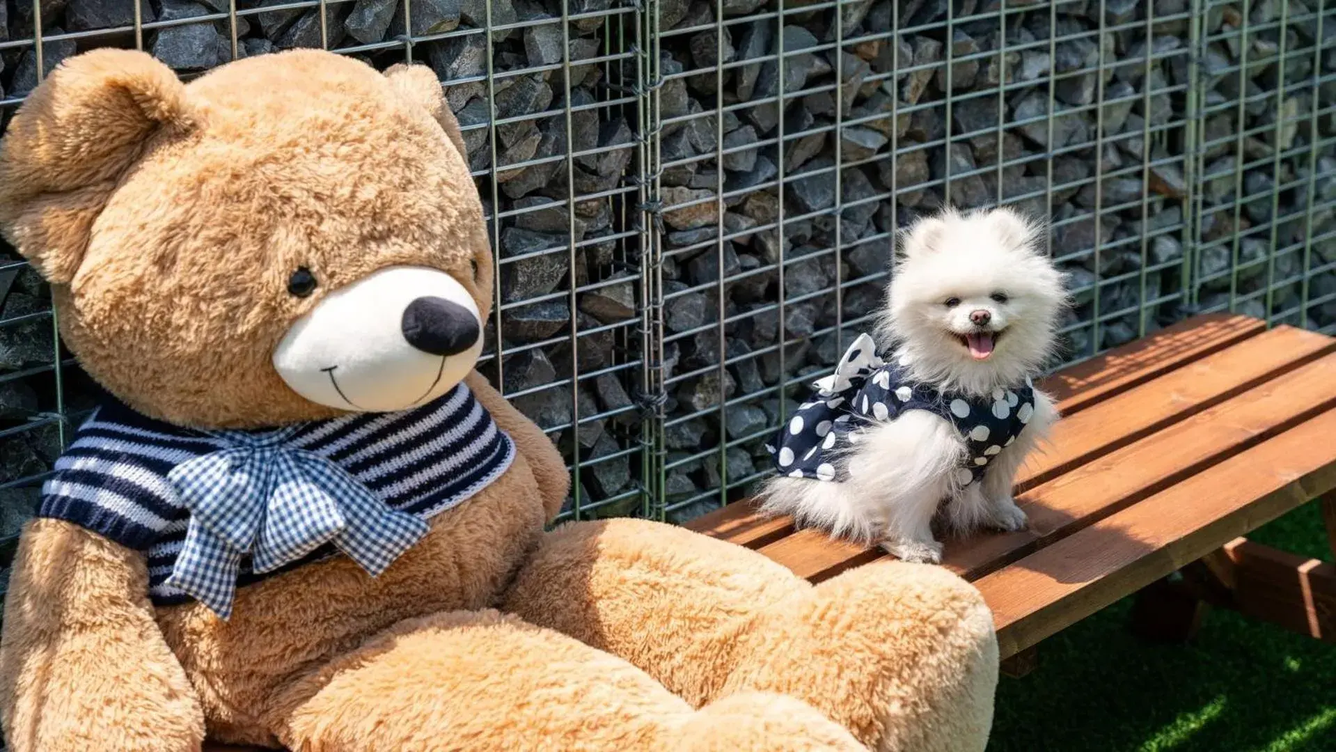 Hongcheon Lucky Dog Pension Hongcheon Lucky Dog Pension
