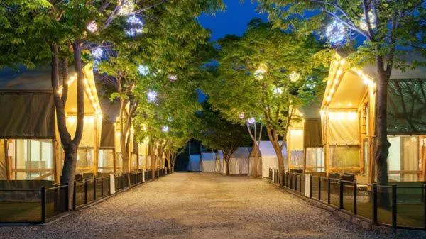 Gapyeong High Mong Glamping & Camping
