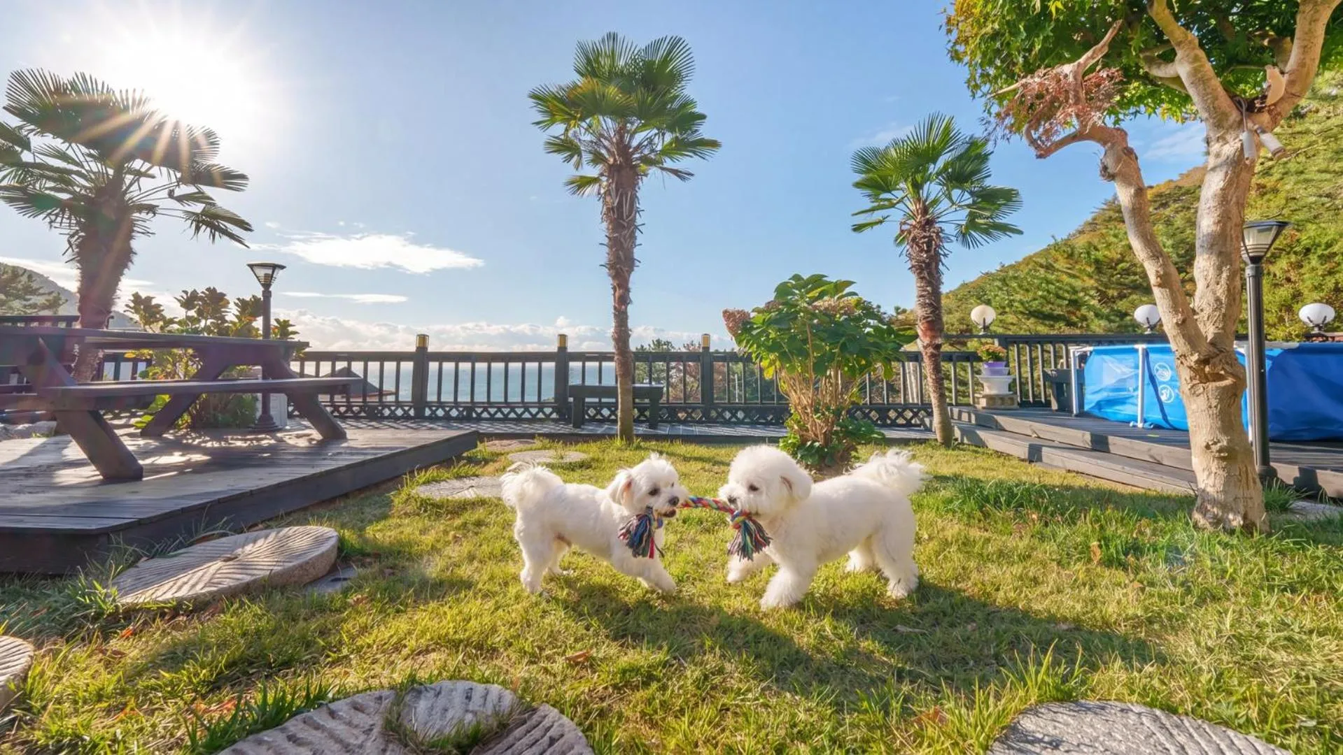 Property building in geoje yeoul pet-friendly pension