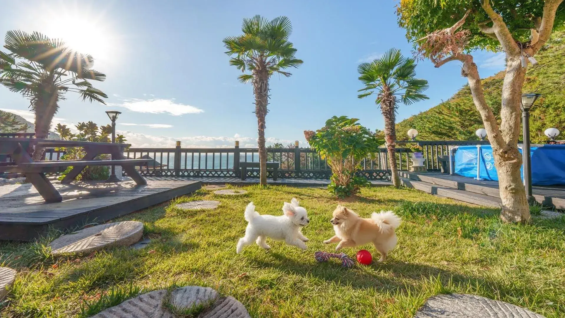 geoje yeoul pet-friendly pension geoje yeoul pet-friendly pension