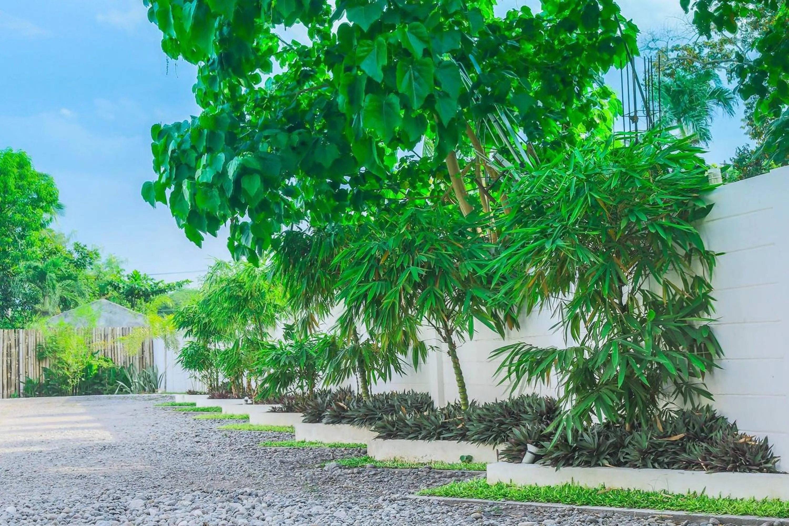 Property building in Alchan Suites