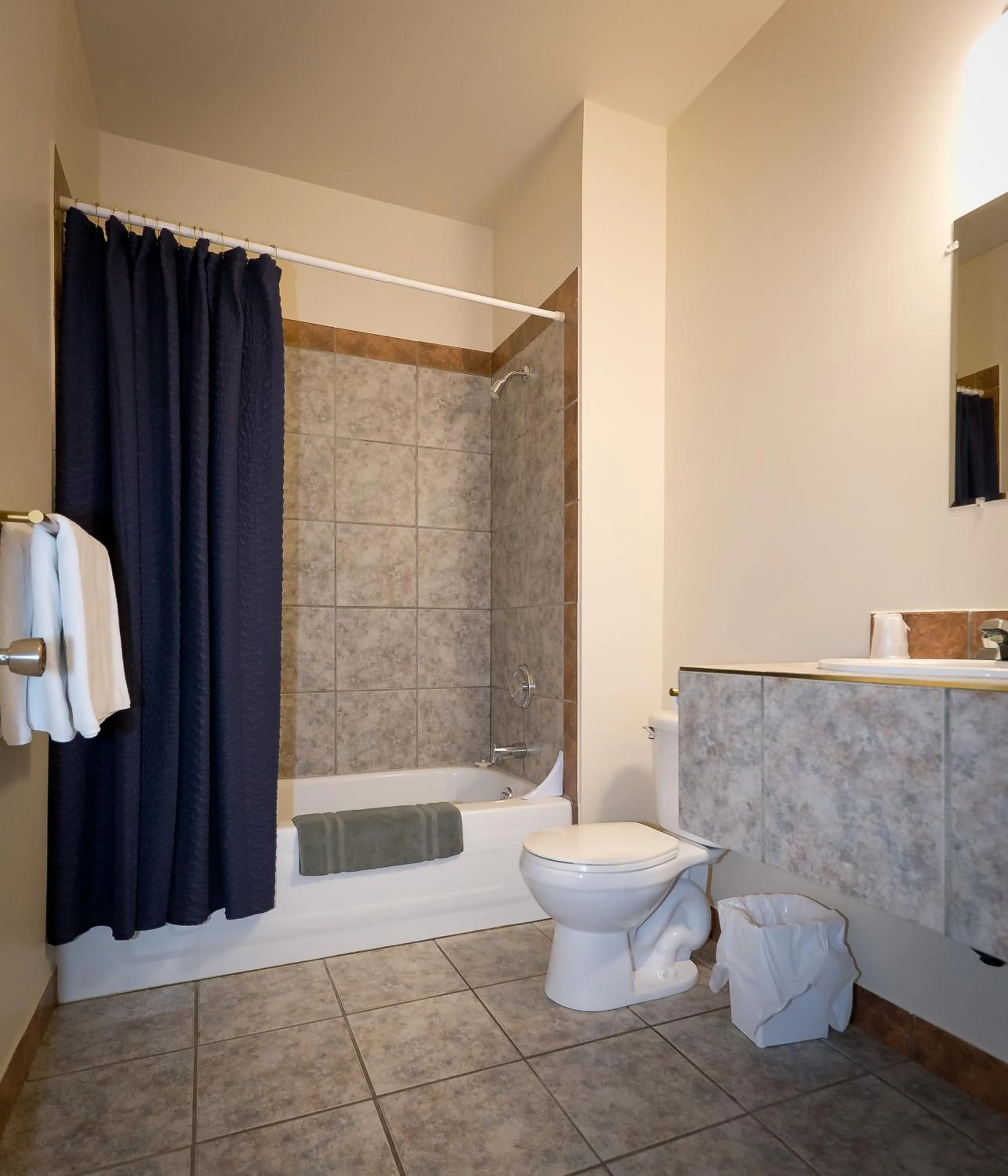 Bathroom in Motel De La Gare Richmond