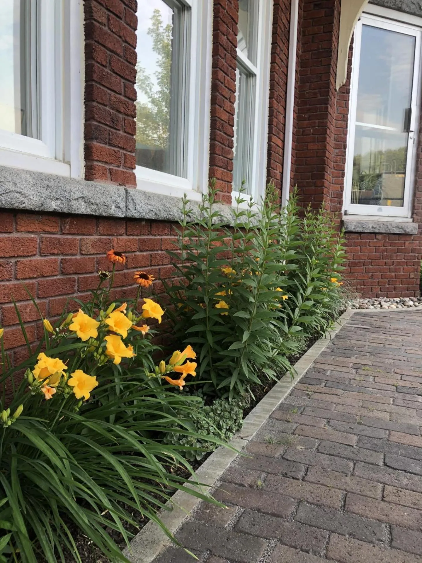 Garden view in Motel De La Gare Richmond