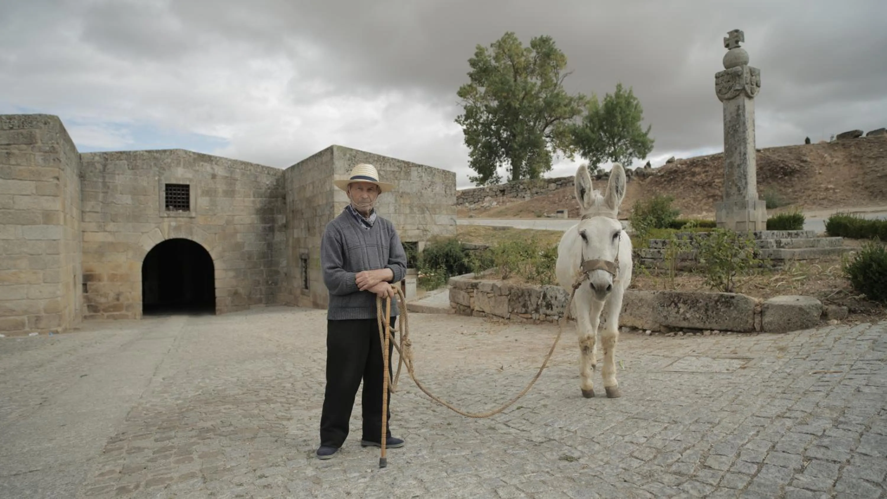 Spring in Colmeal Countryside Hotel