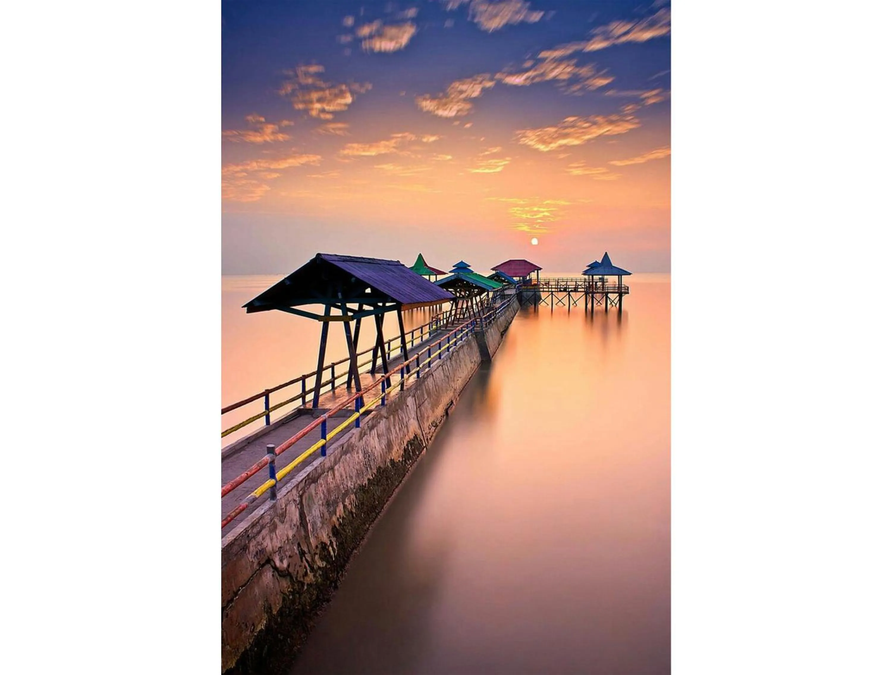 Horse-riding in My Studio Hotel City Center