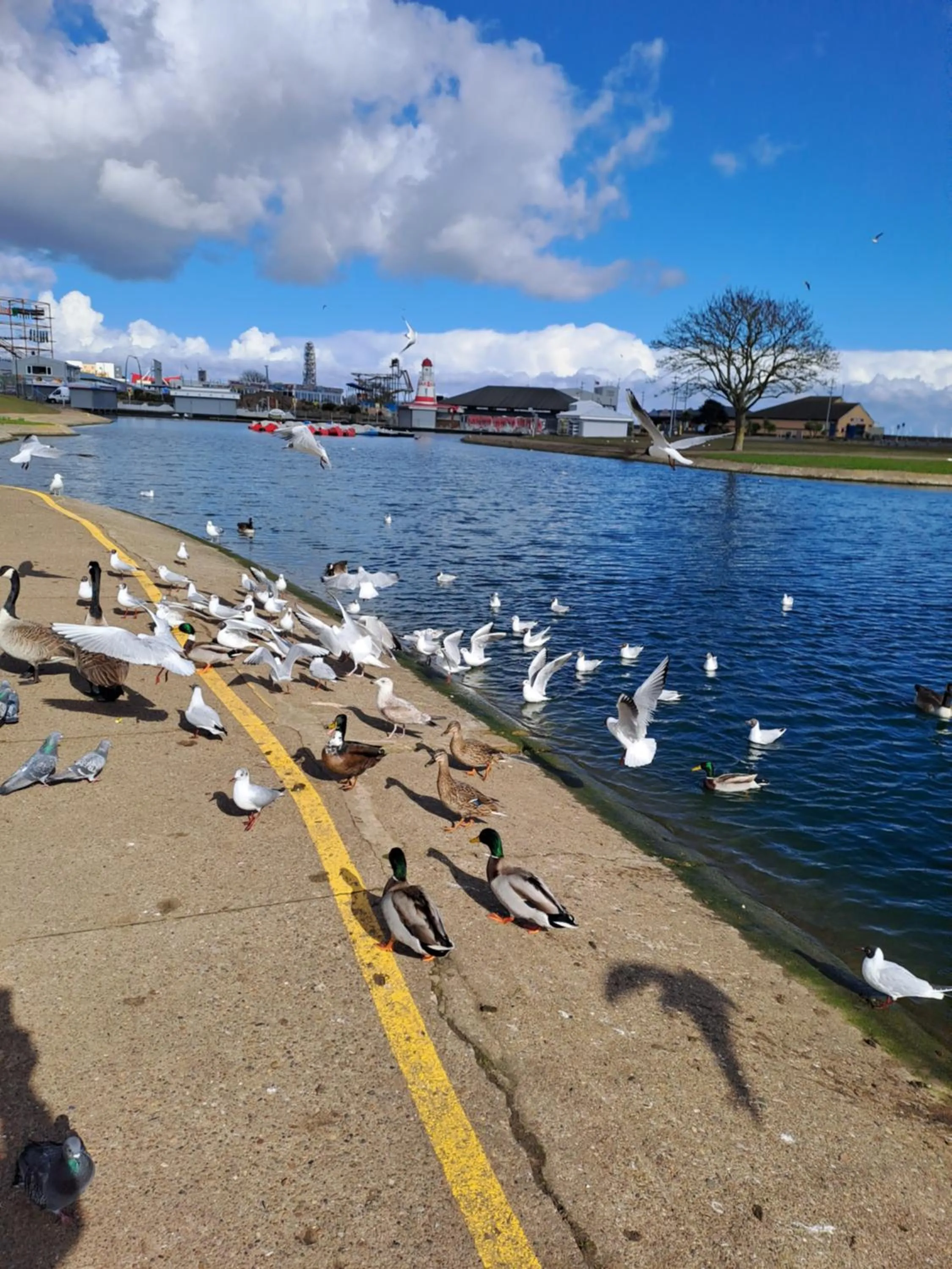 The Sandgate