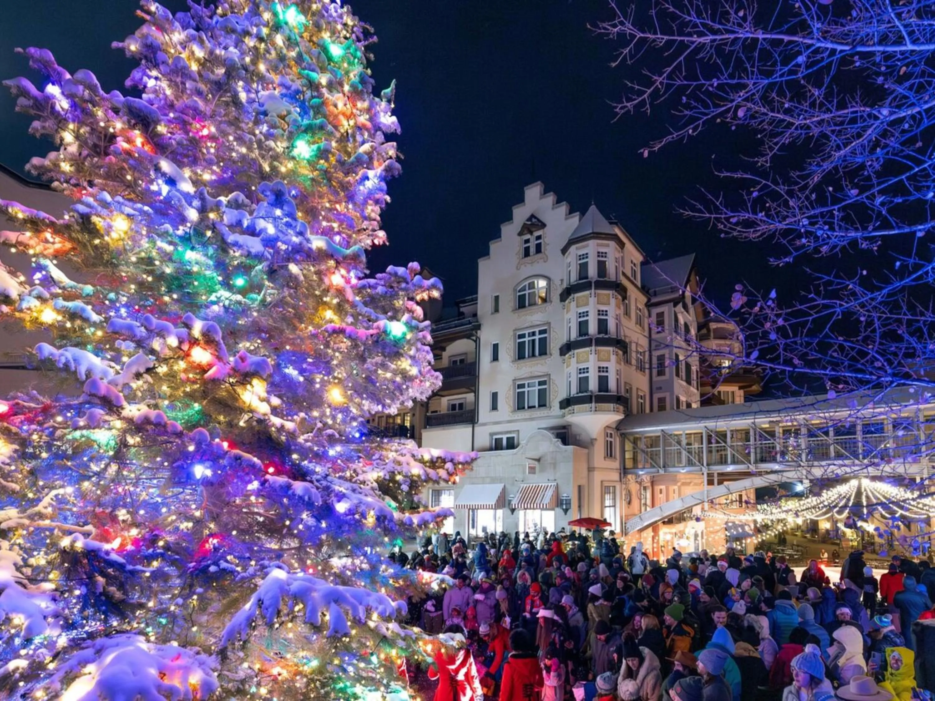 Enzian - CoralTree Residence Collection