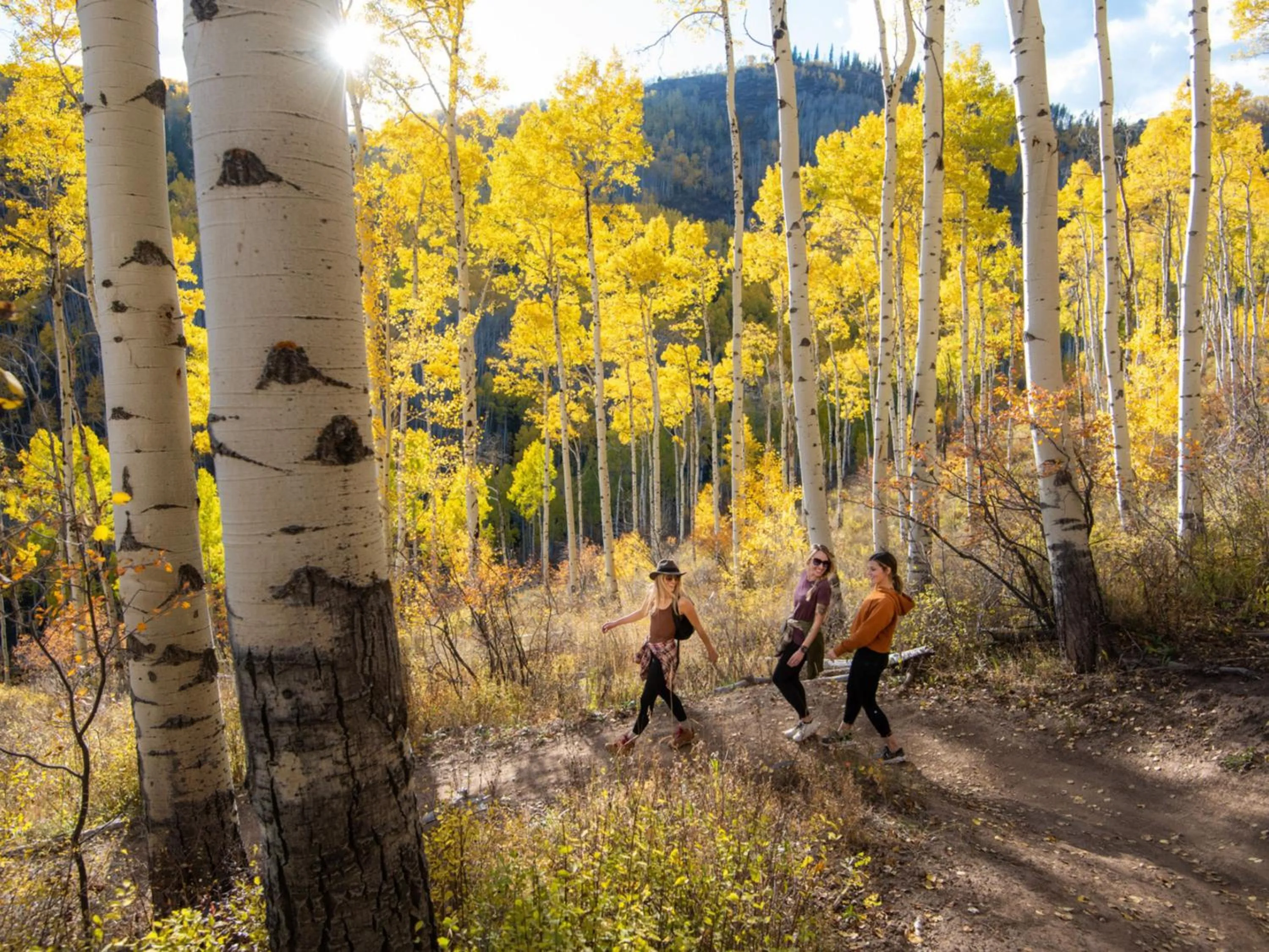 Enzian - CoralTree Residence Collection