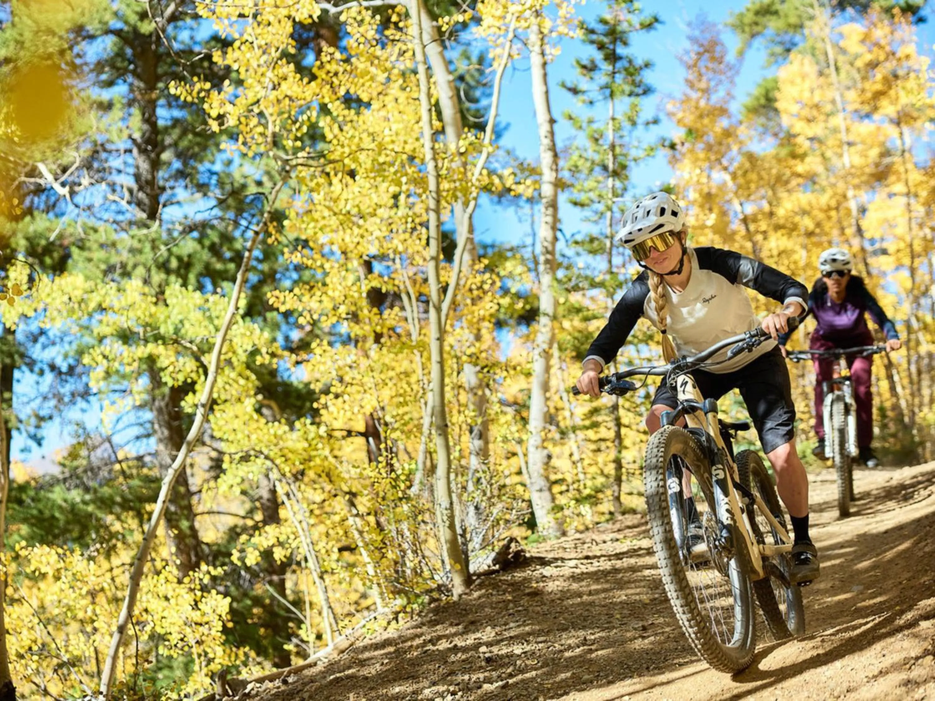 Enzian - CoralTree Residence Collection