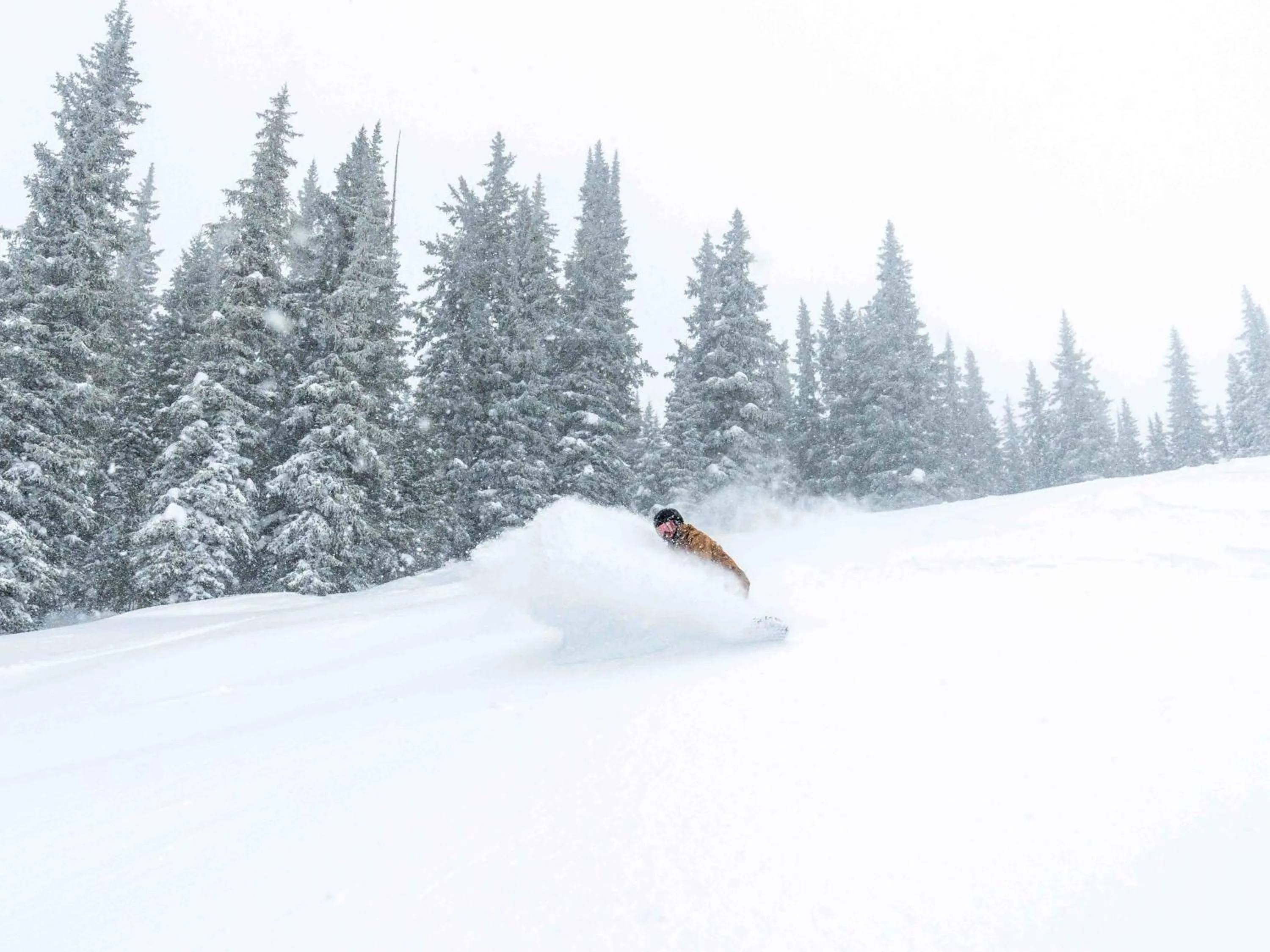 Vail 21 - CoralTree Residence Collection