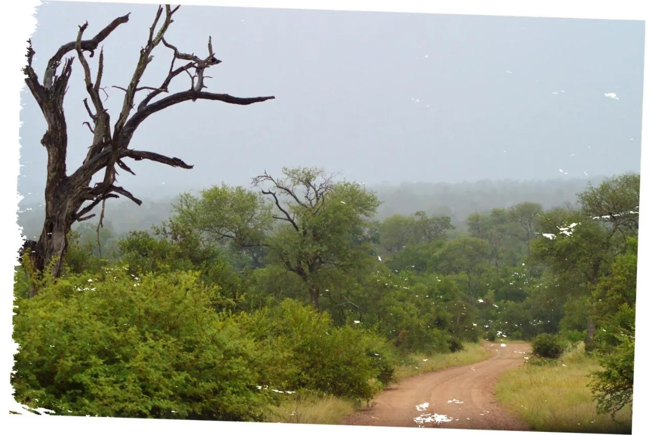 Grand Kruger Lodge and Spa