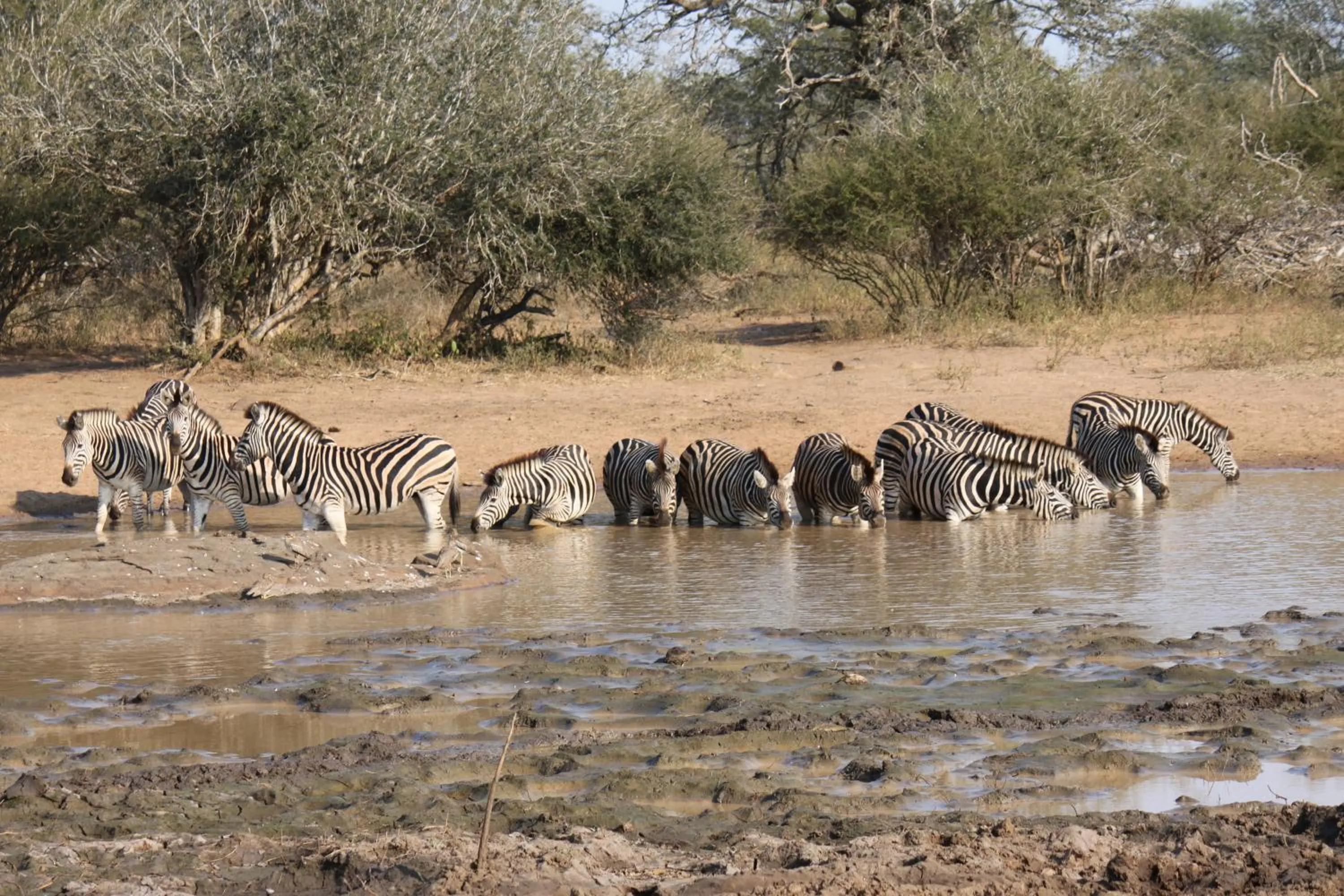 Other in Grand Kruger Lodge and Spa