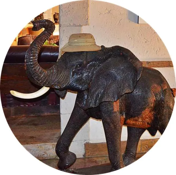 Grand Kruger Lodge and Spa