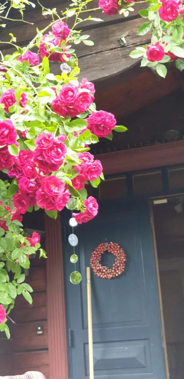 Woodstock B&B & Studio Apartments