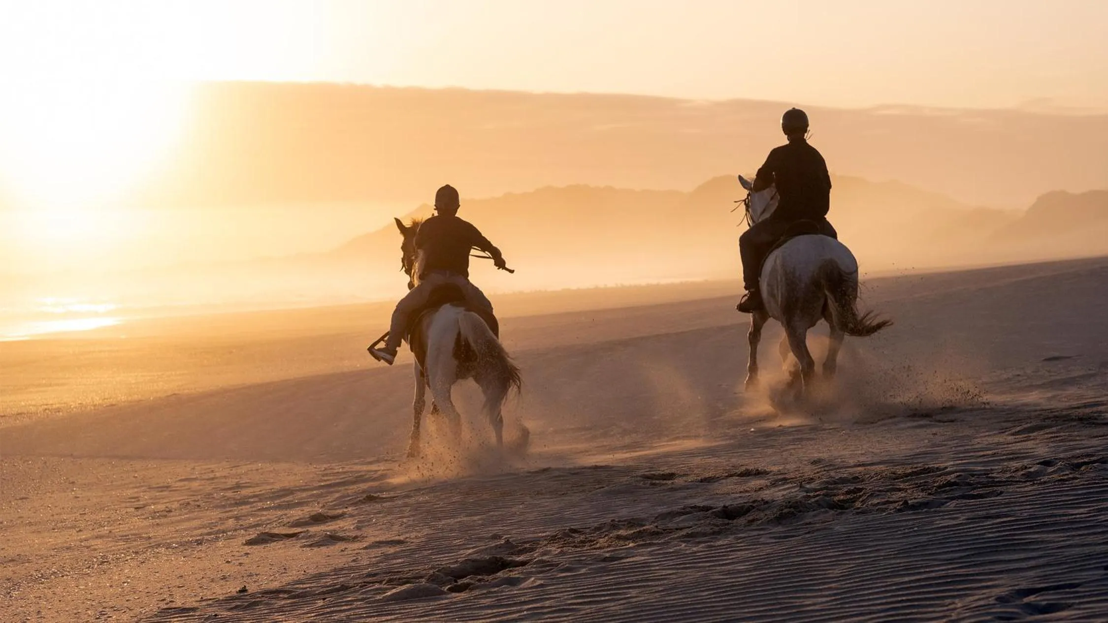 Horse-riding in Oyster Bay Lodge