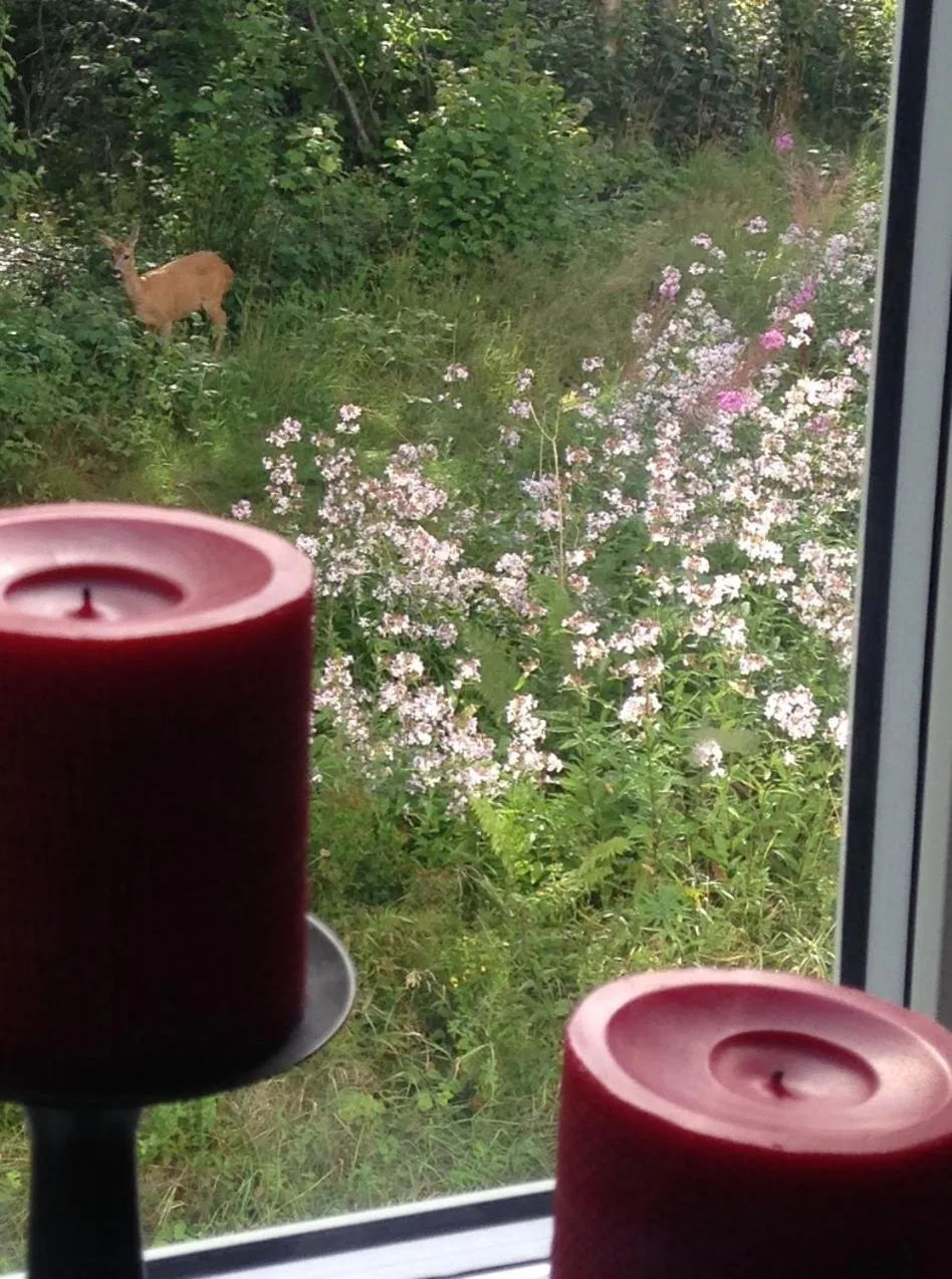 River view in Landvetter BnB