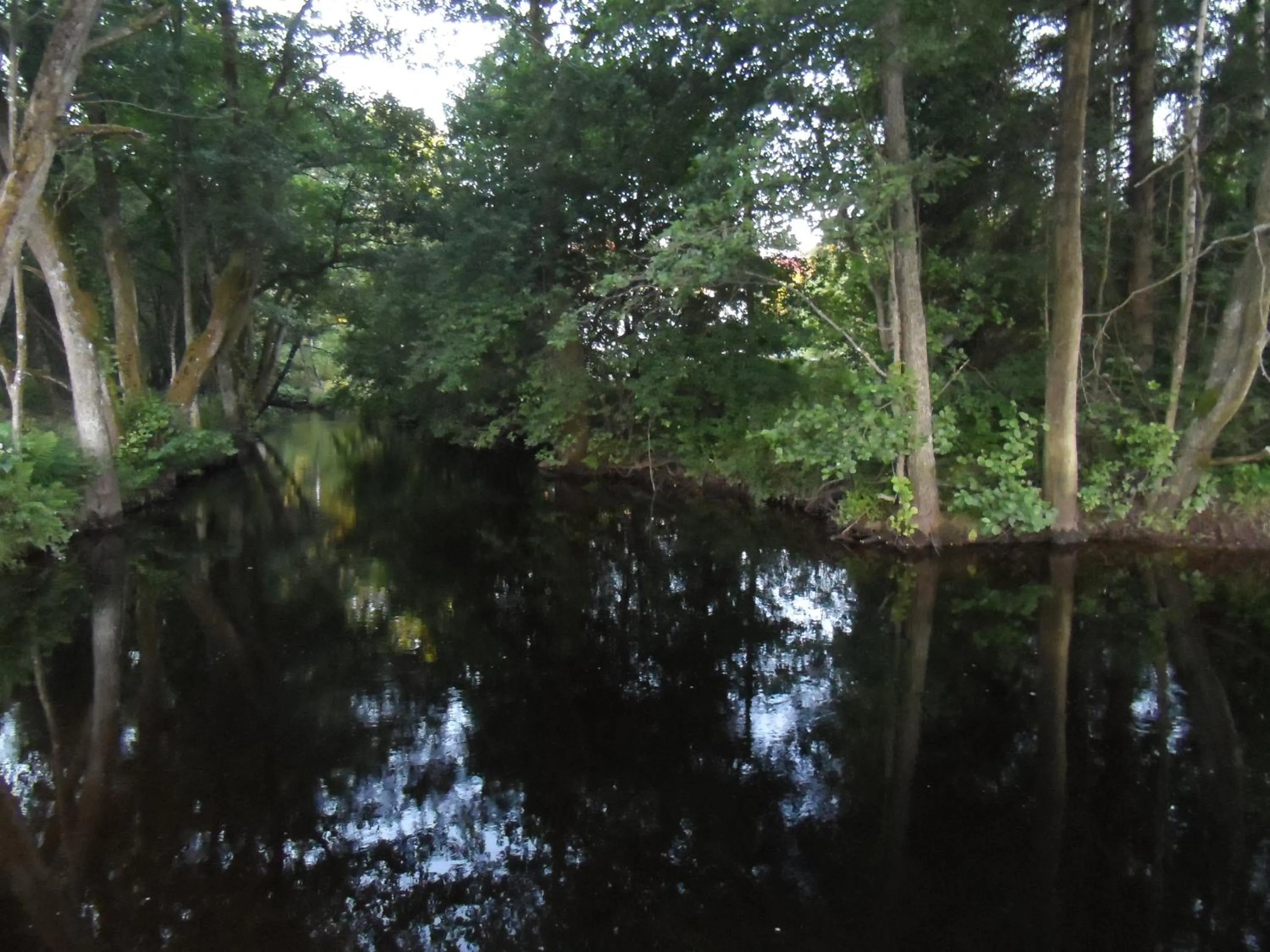 On site in Landvetter BnB