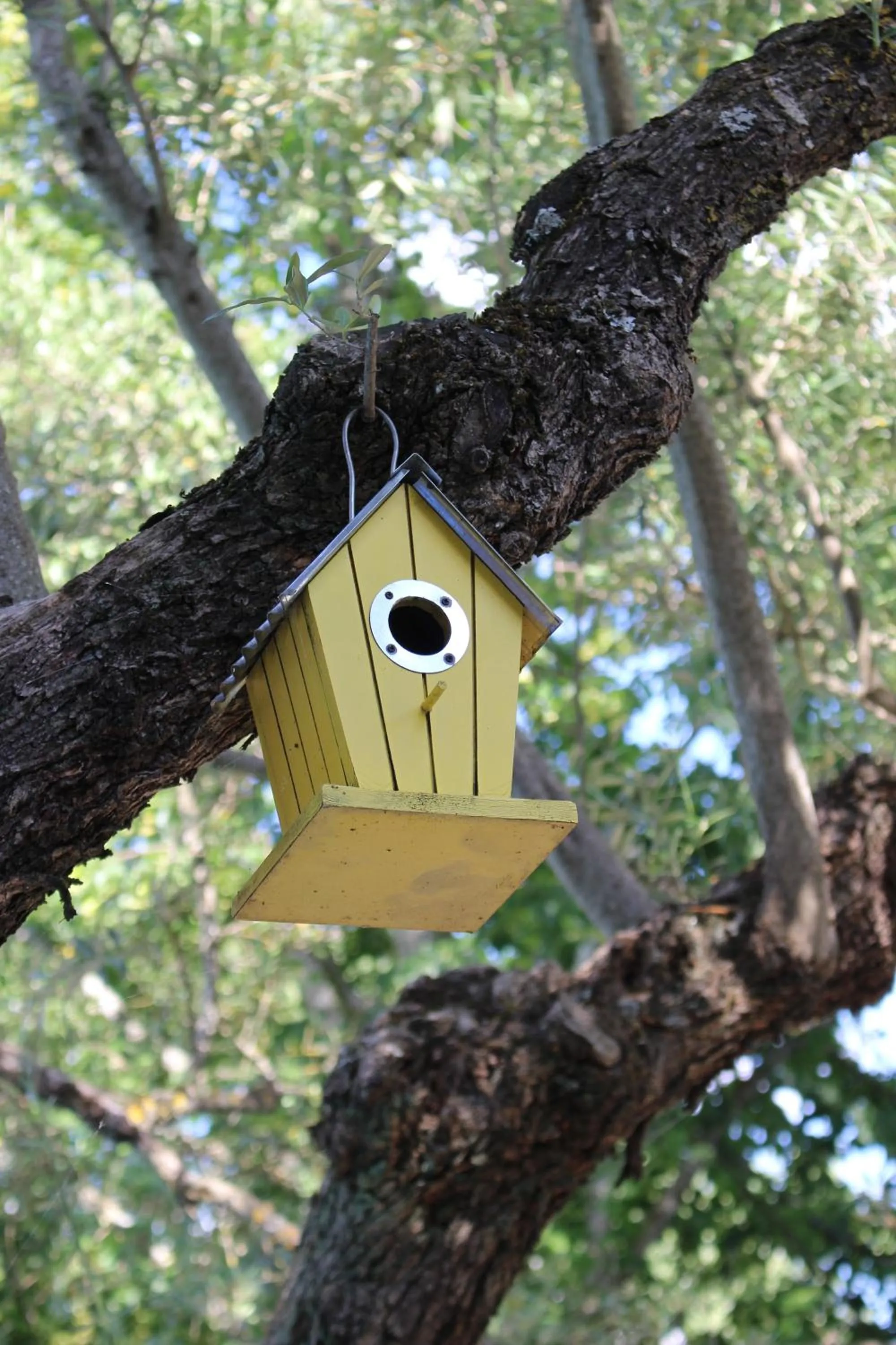 Garden in Tapada da Rabela - Reserva Natural