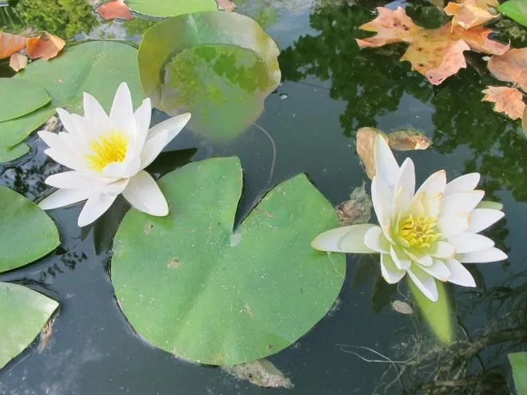 Property building in Tapada da Rabela - Reserva Natural