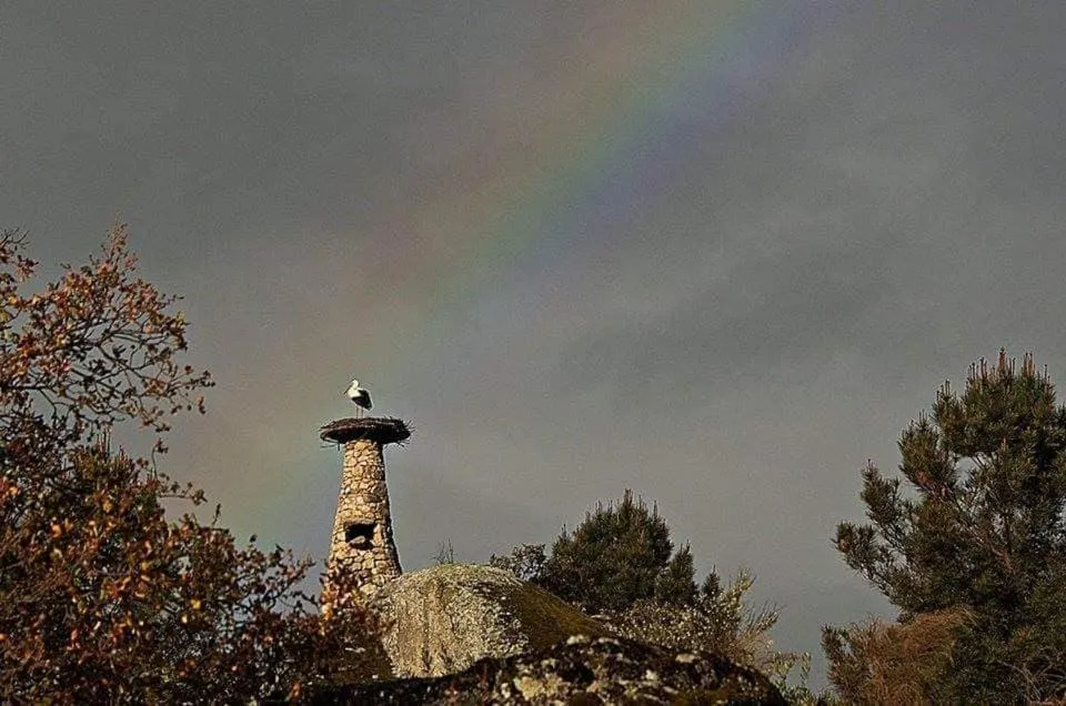 Property building in Tapada da Rabela - Reserva Natural