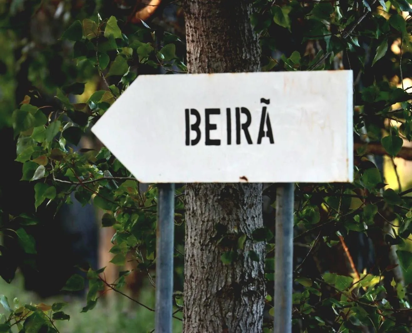 Street view in Tapada da Rabela - Reserva Natural