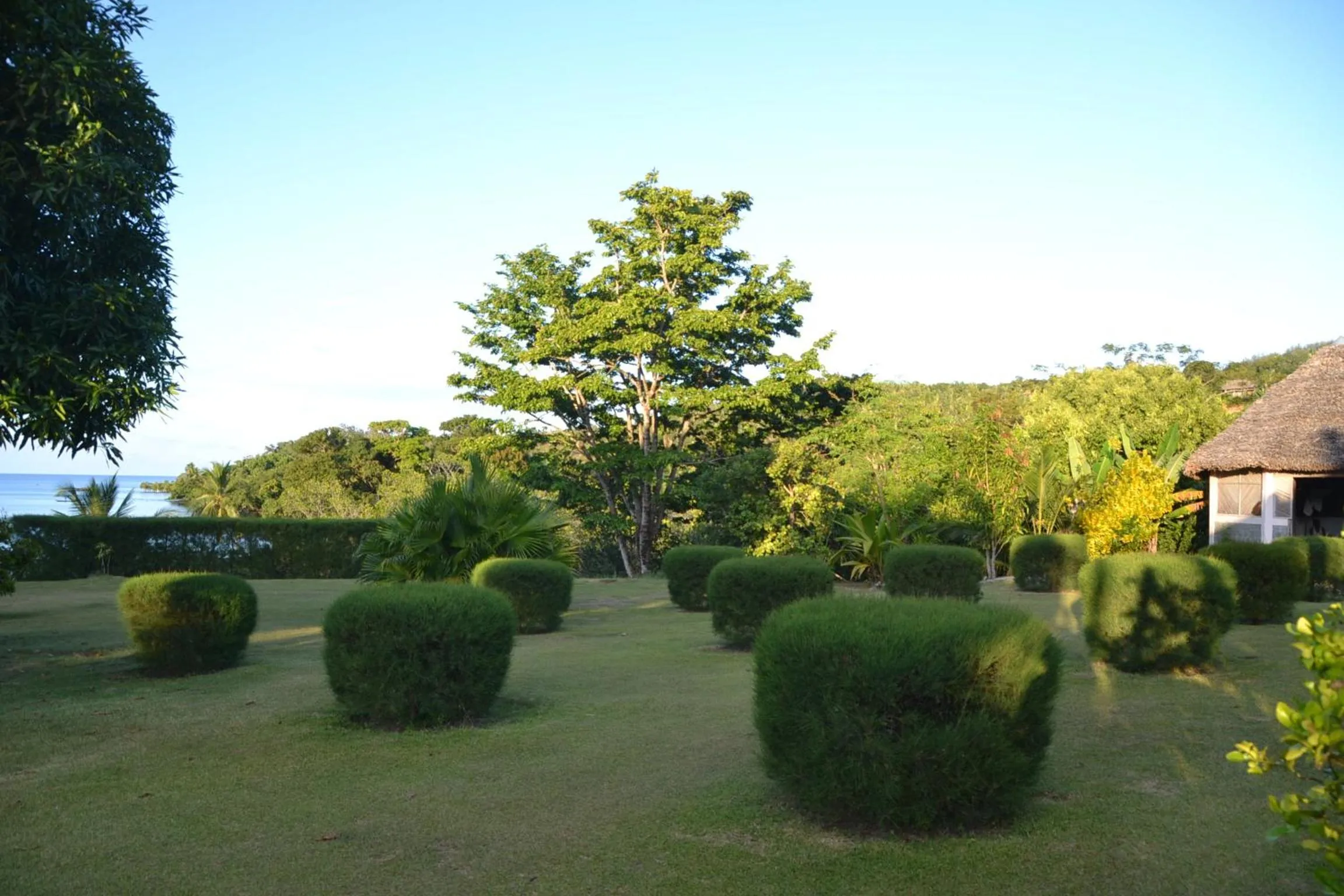 Garden in Hotel Nautile