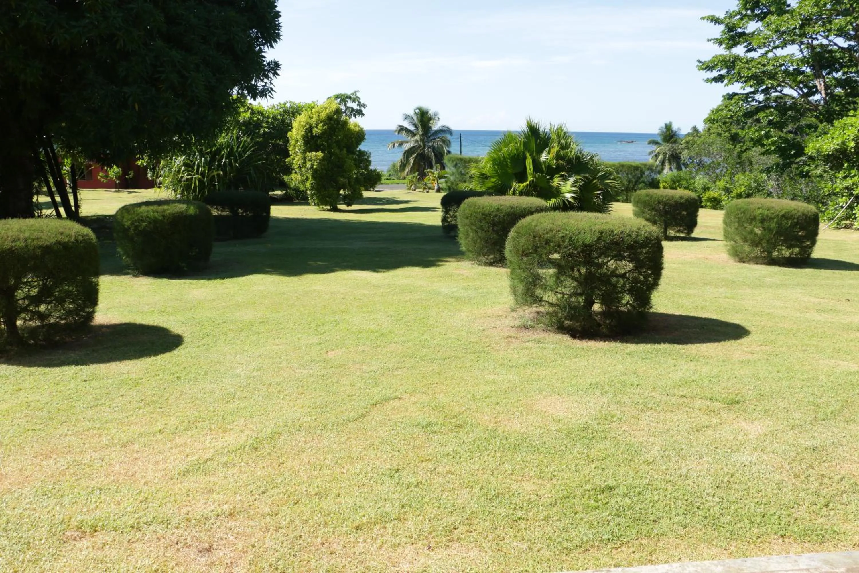 Garden in Hotel Nautile