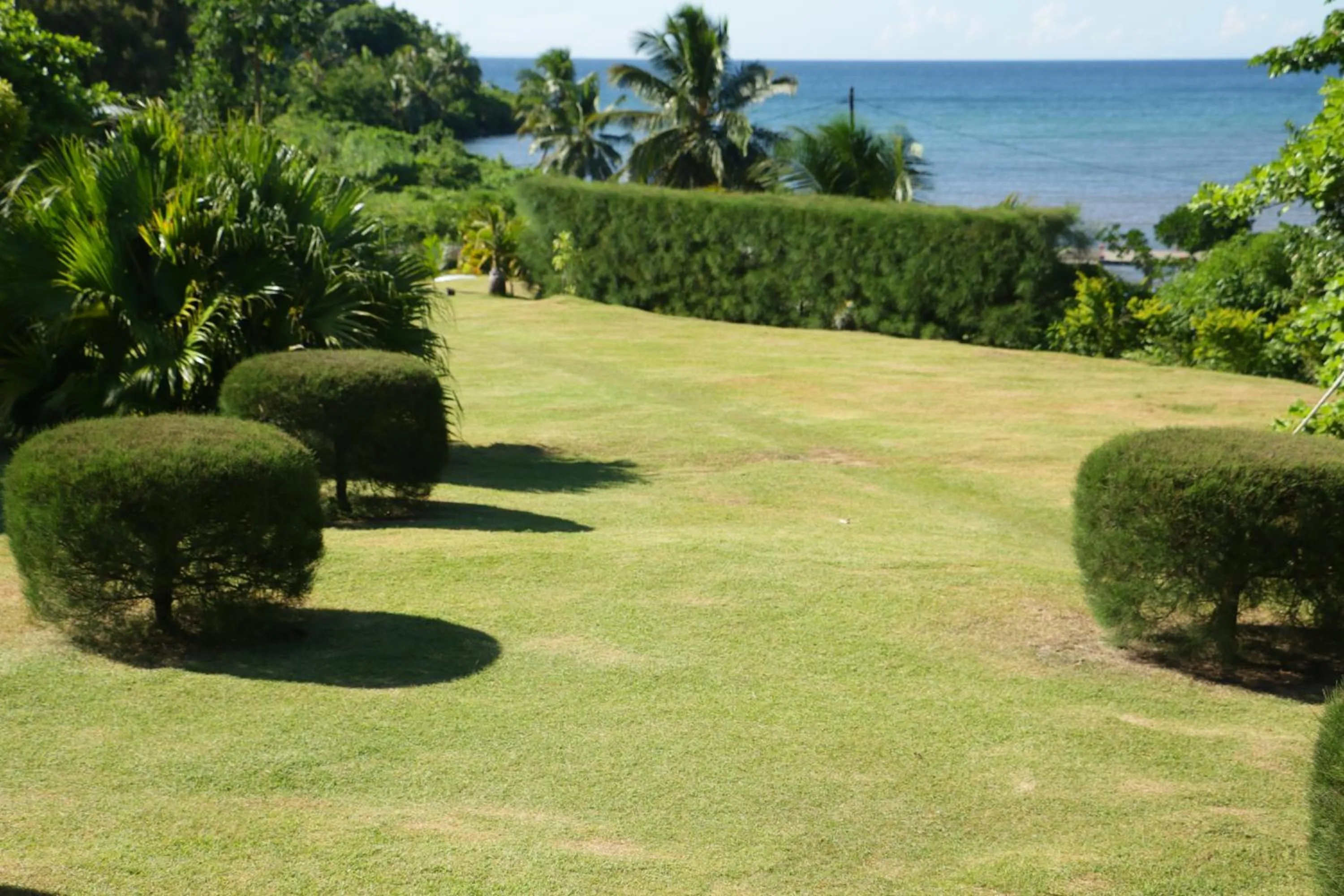 Garden in Hotel Nautile