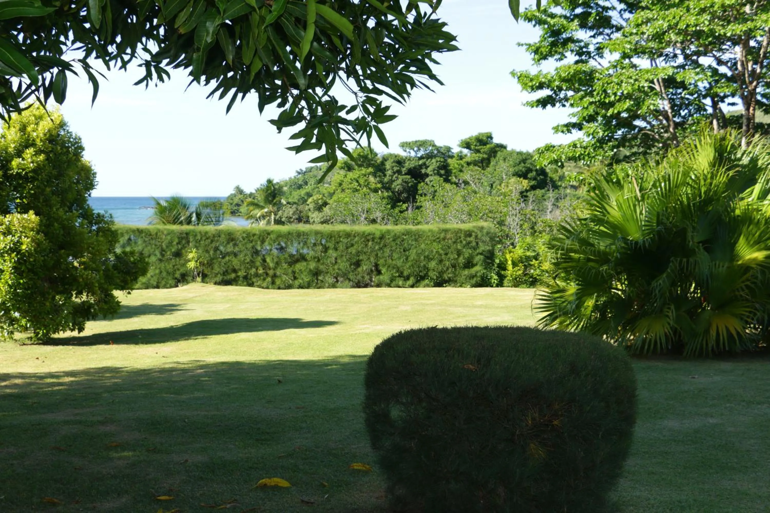Garden in Hotel Nautile