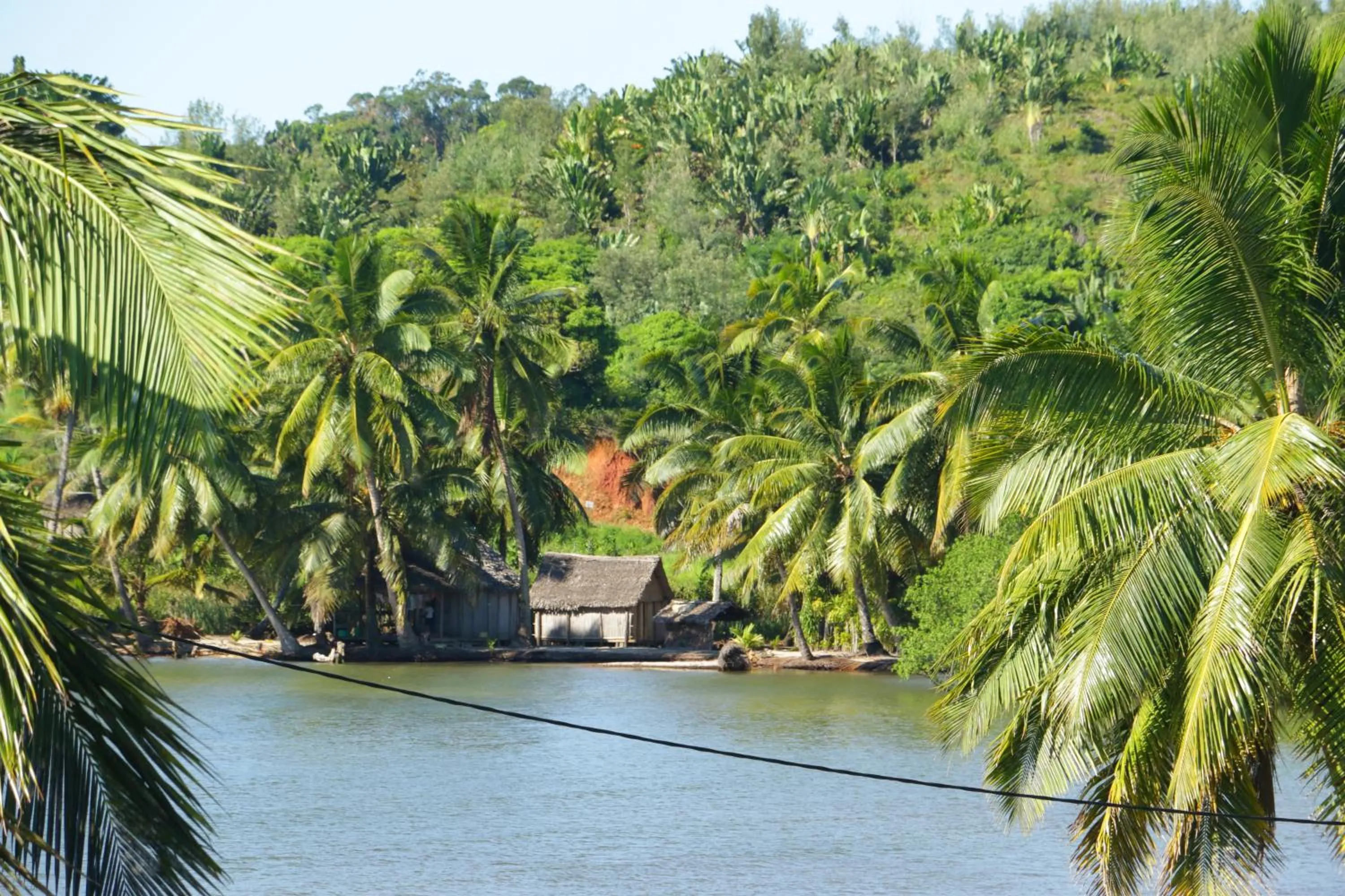 Natural landscape in Hotel Nautile