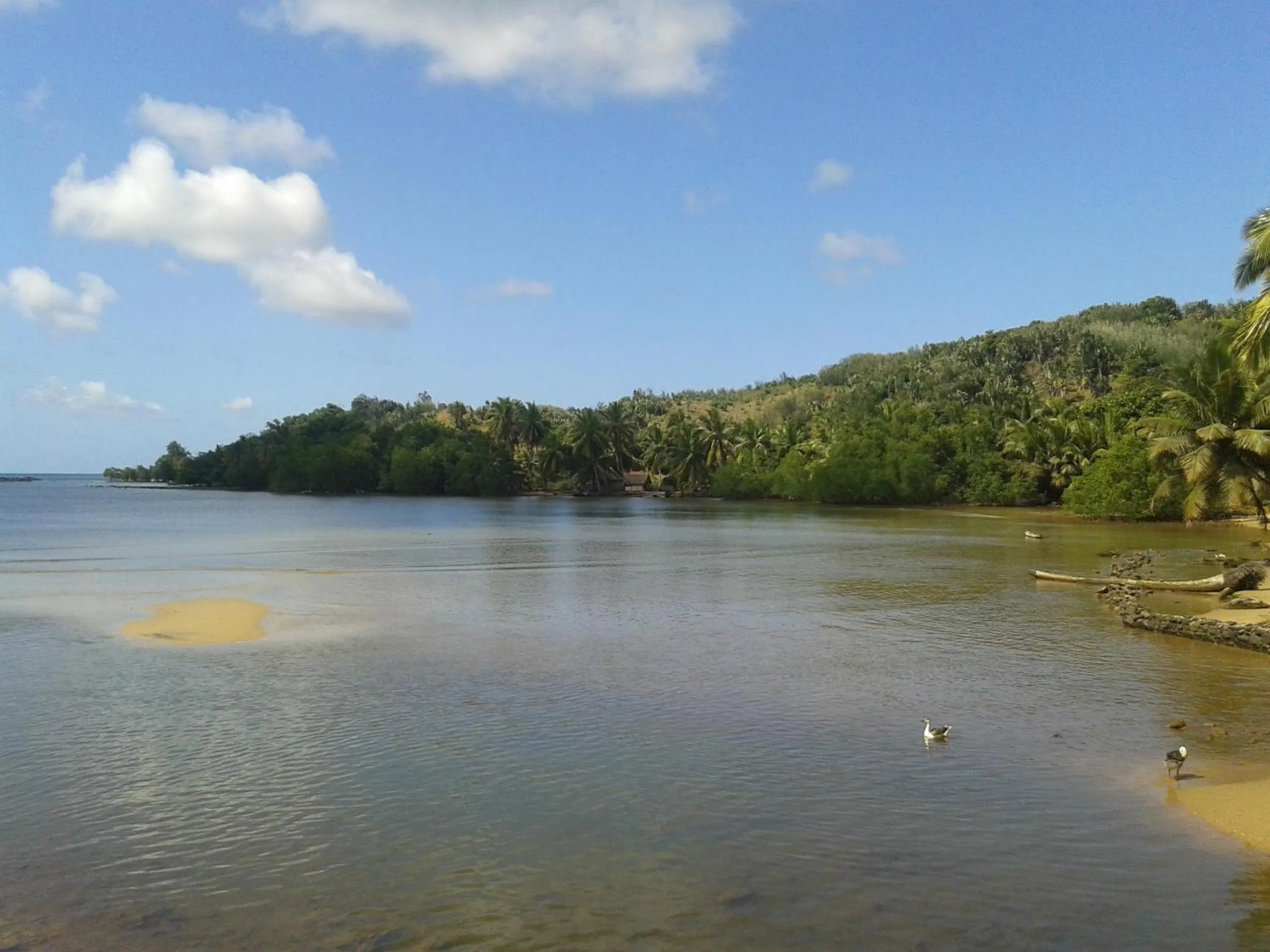 Natural landscape in Hotel Nautile