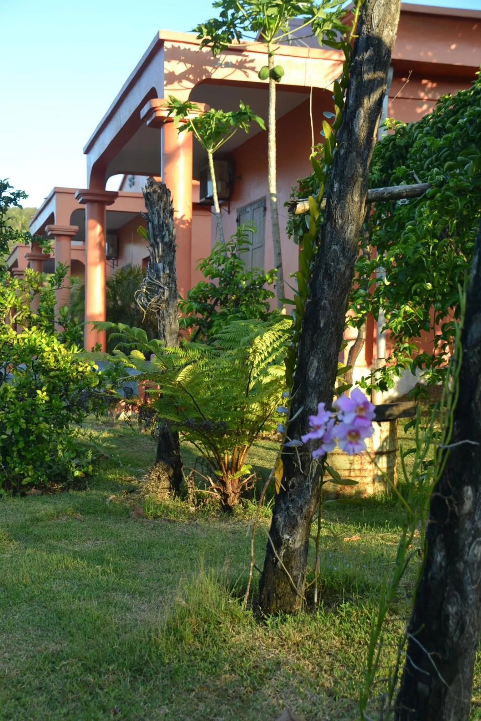 Garden in Hotel Nautile
