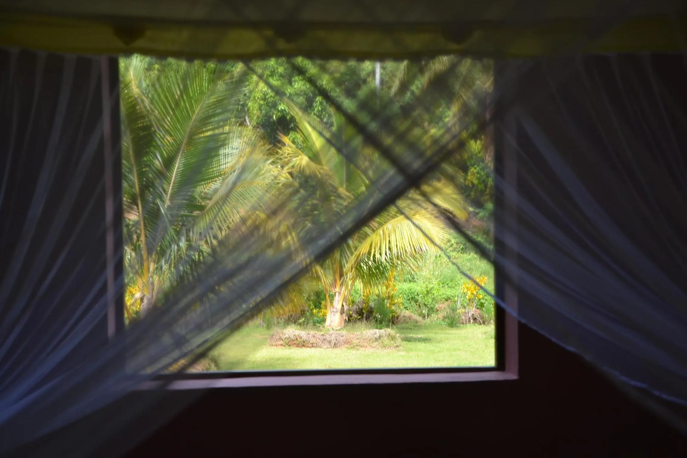 Bedroom in Hotel Nautile
