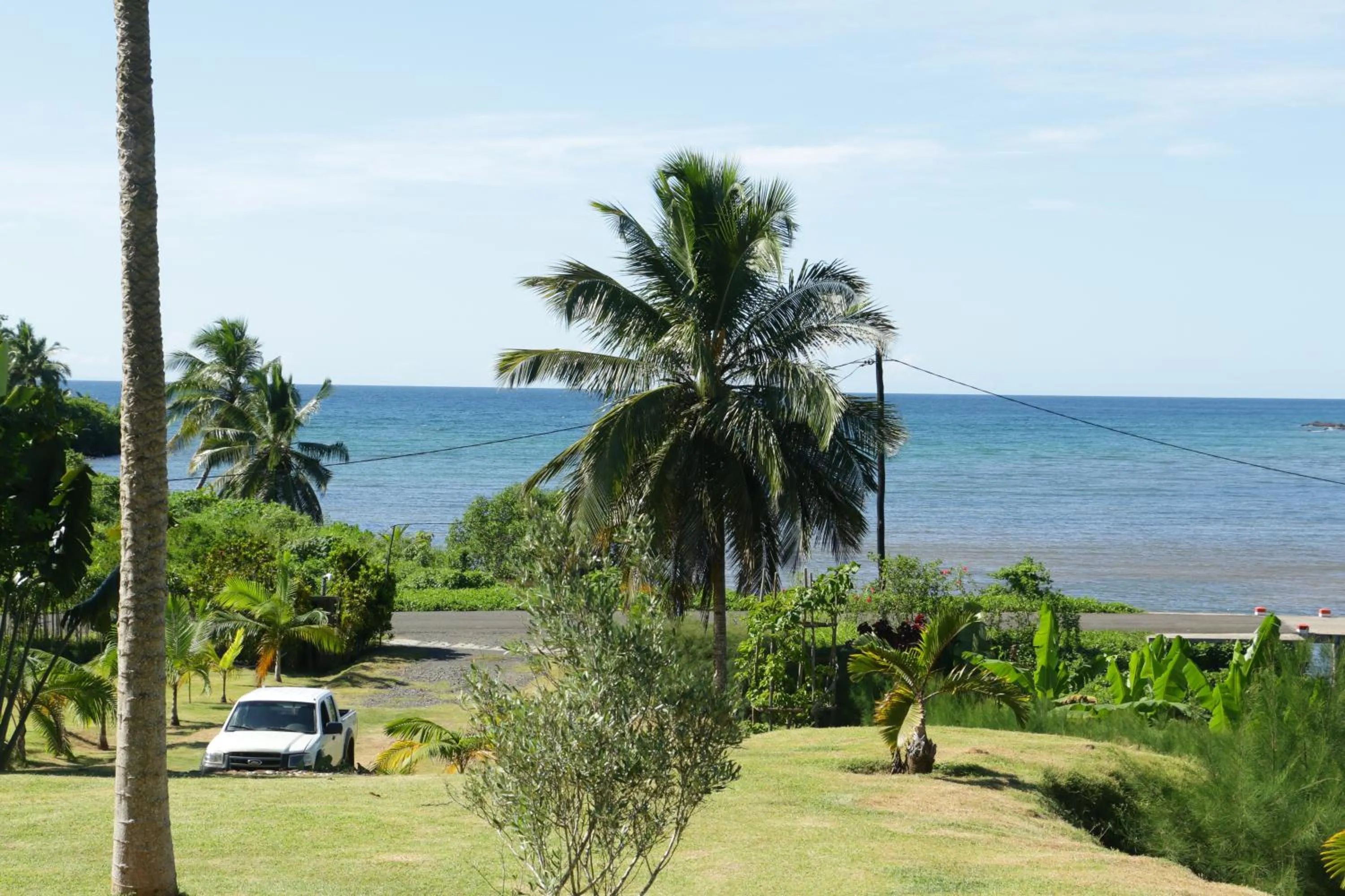 Garden view in Hotel Nautile
