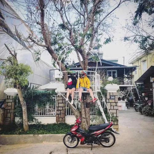 Aurora Homestay