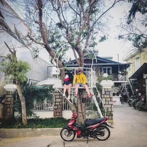 Aurora Homestay Aurora Homestay