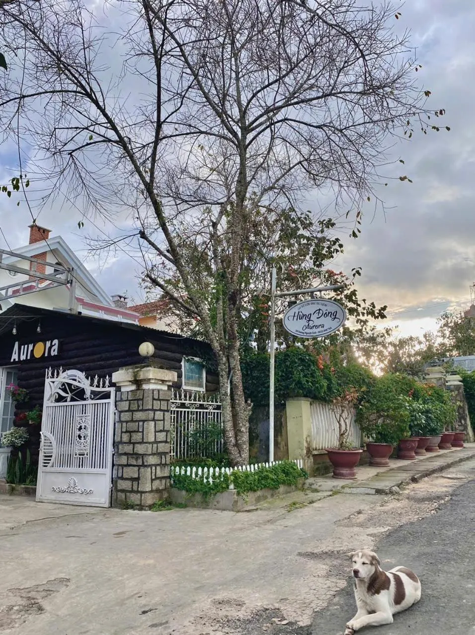Off site in Aurora Homestay