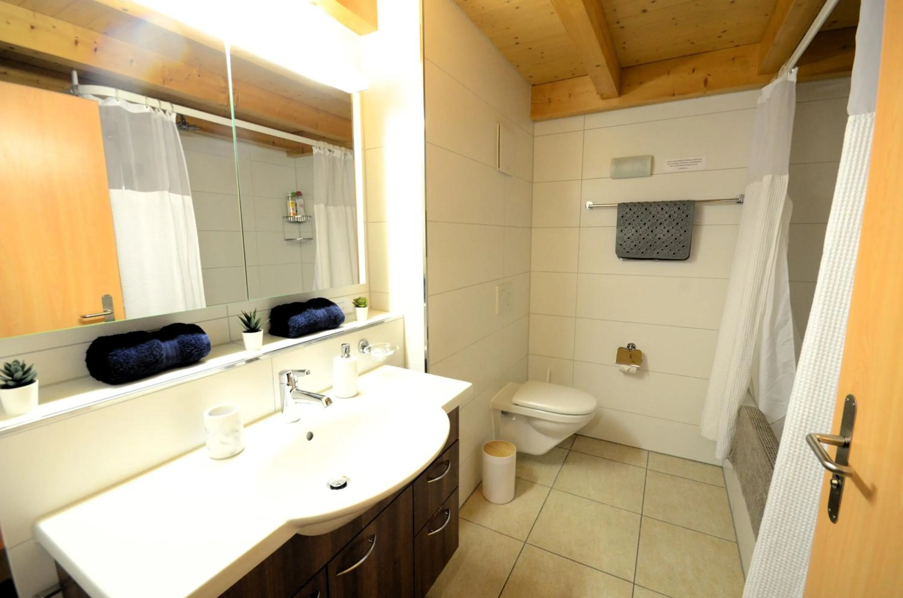Bathroom in Luxury Penthouse Apartment