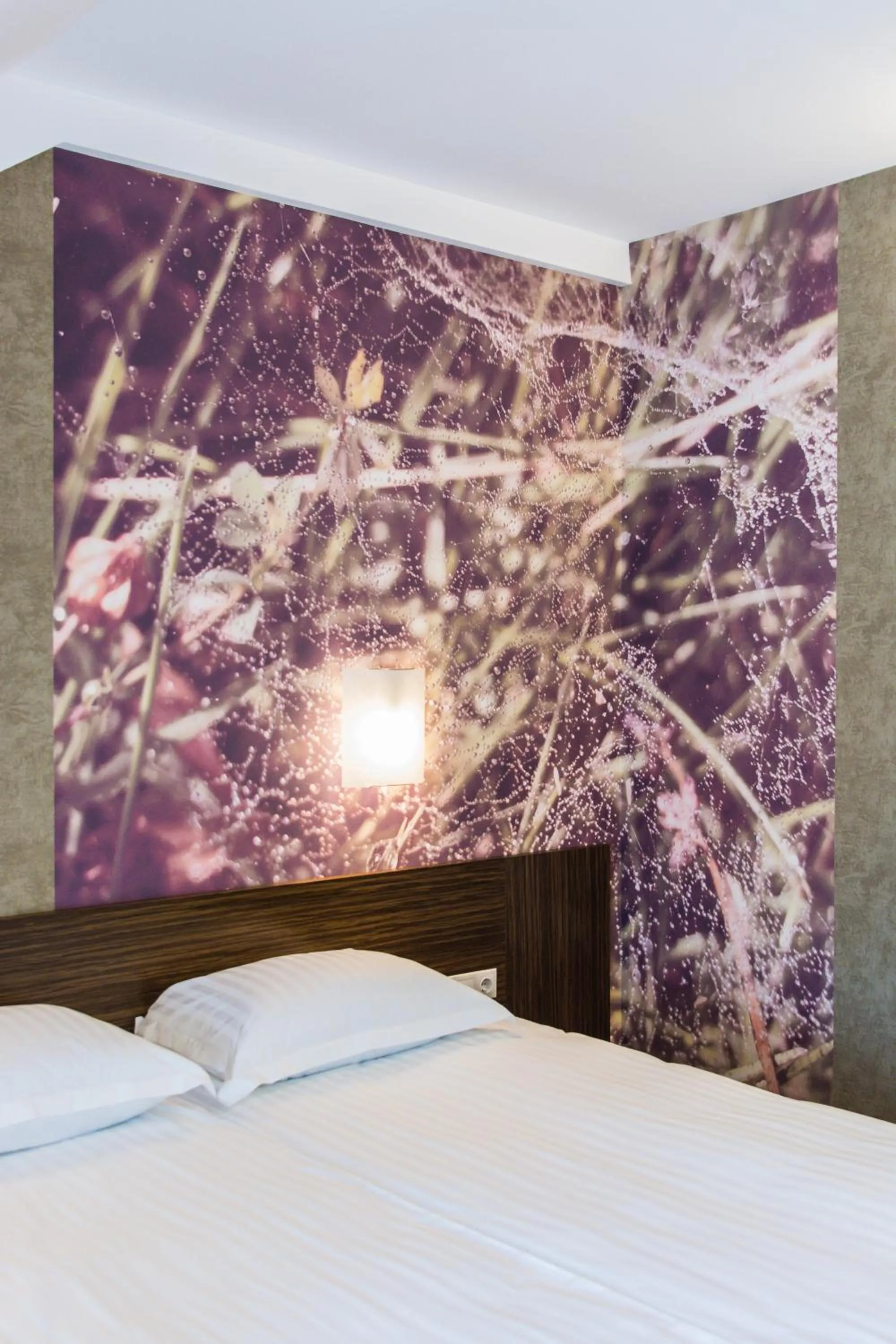 Property building, Bed in Kryve Ozero