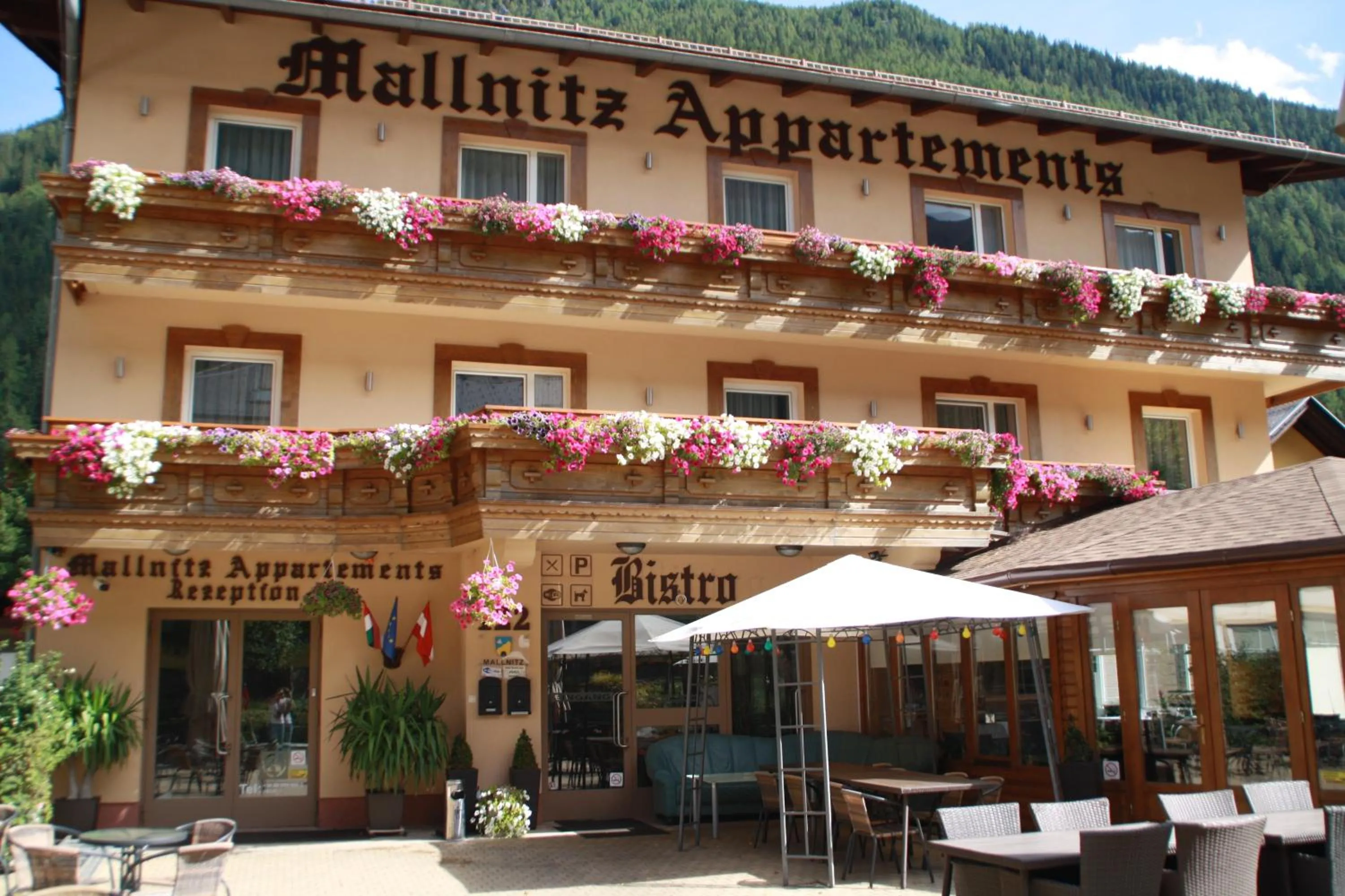 Apartment in Hotel Mallnitz