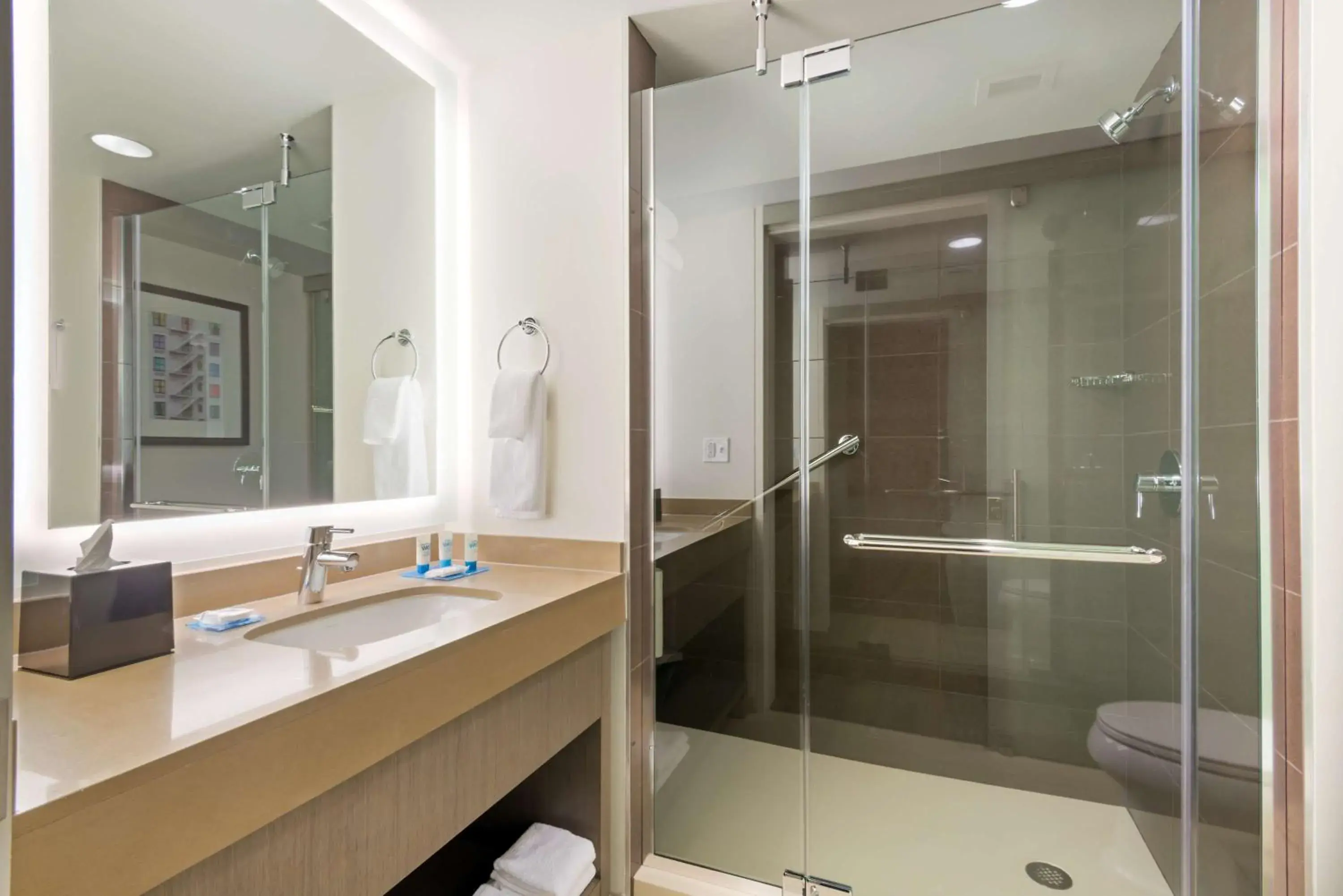 Bathroom in Hyatt House Denver/Downtown Bathroom in Hyatt House Denver/Downtown