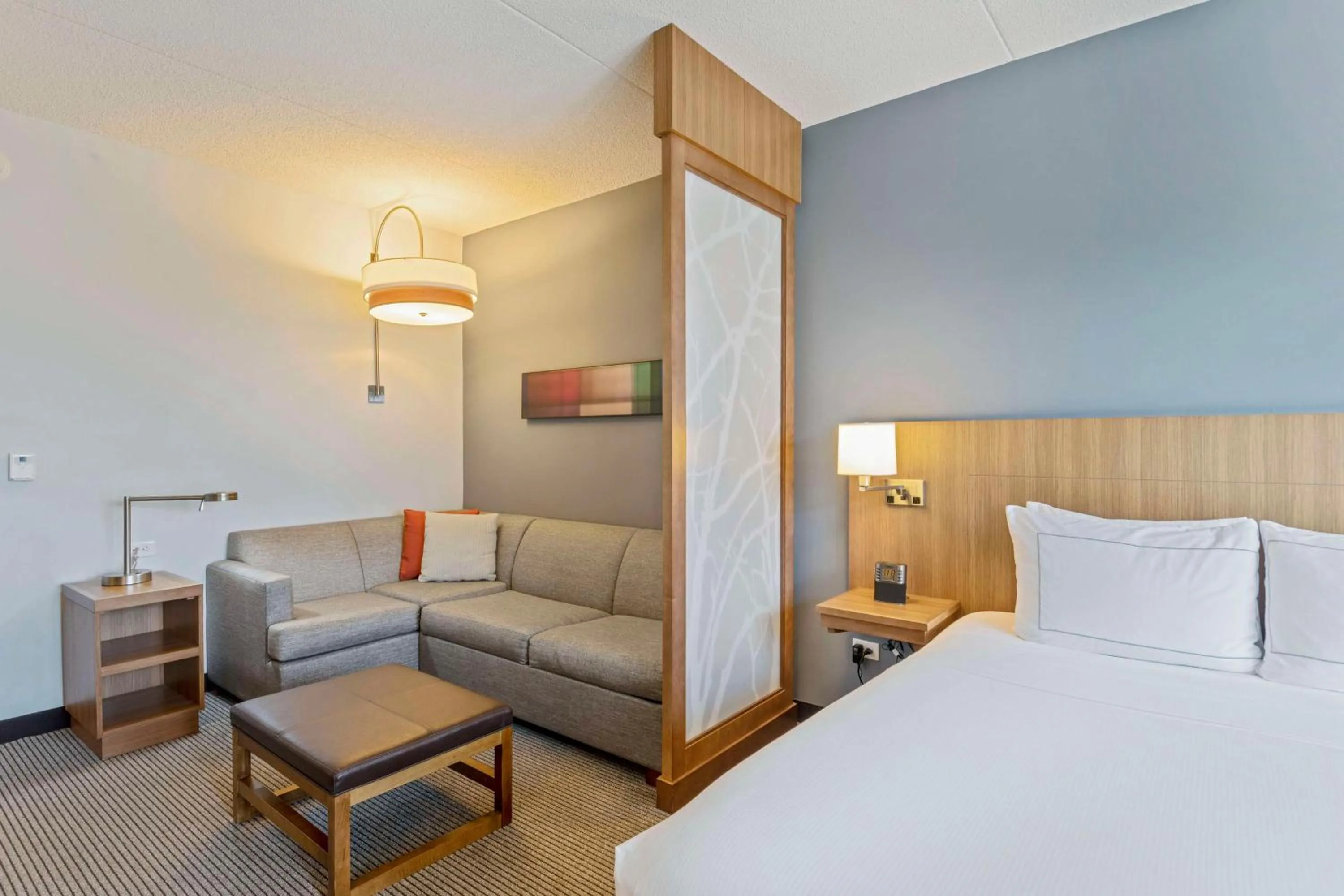 Living room, Bed in DoubleTree by Hilton Asheville Downtown